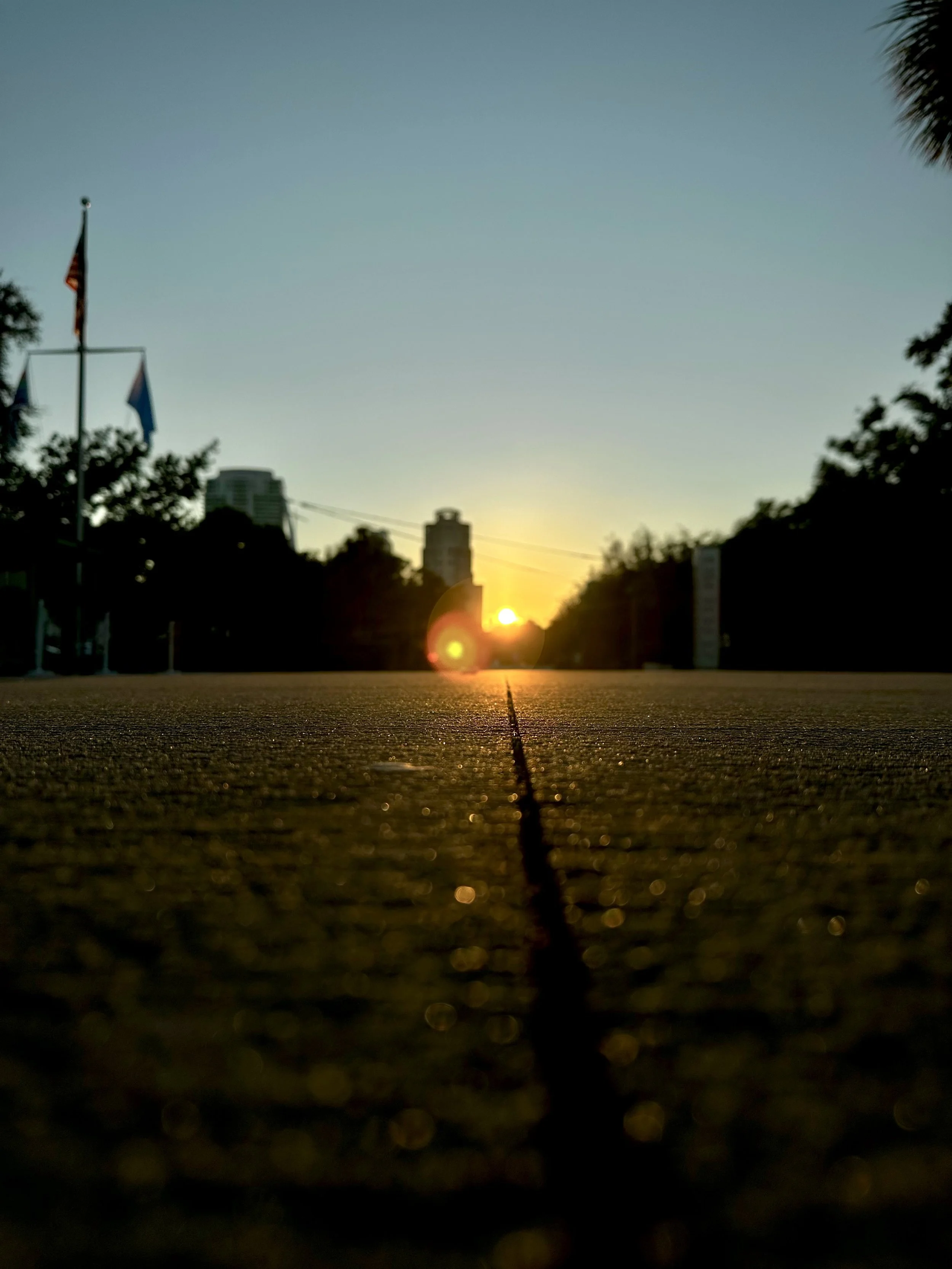 Sunset over a cityscape viewed from a low angle on a sidewalk, with buildings and flags on poles visible in the background, and the sky transitioning from light to dark.