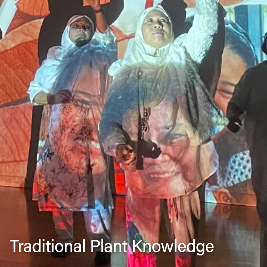 Traditional Plant Knowledge