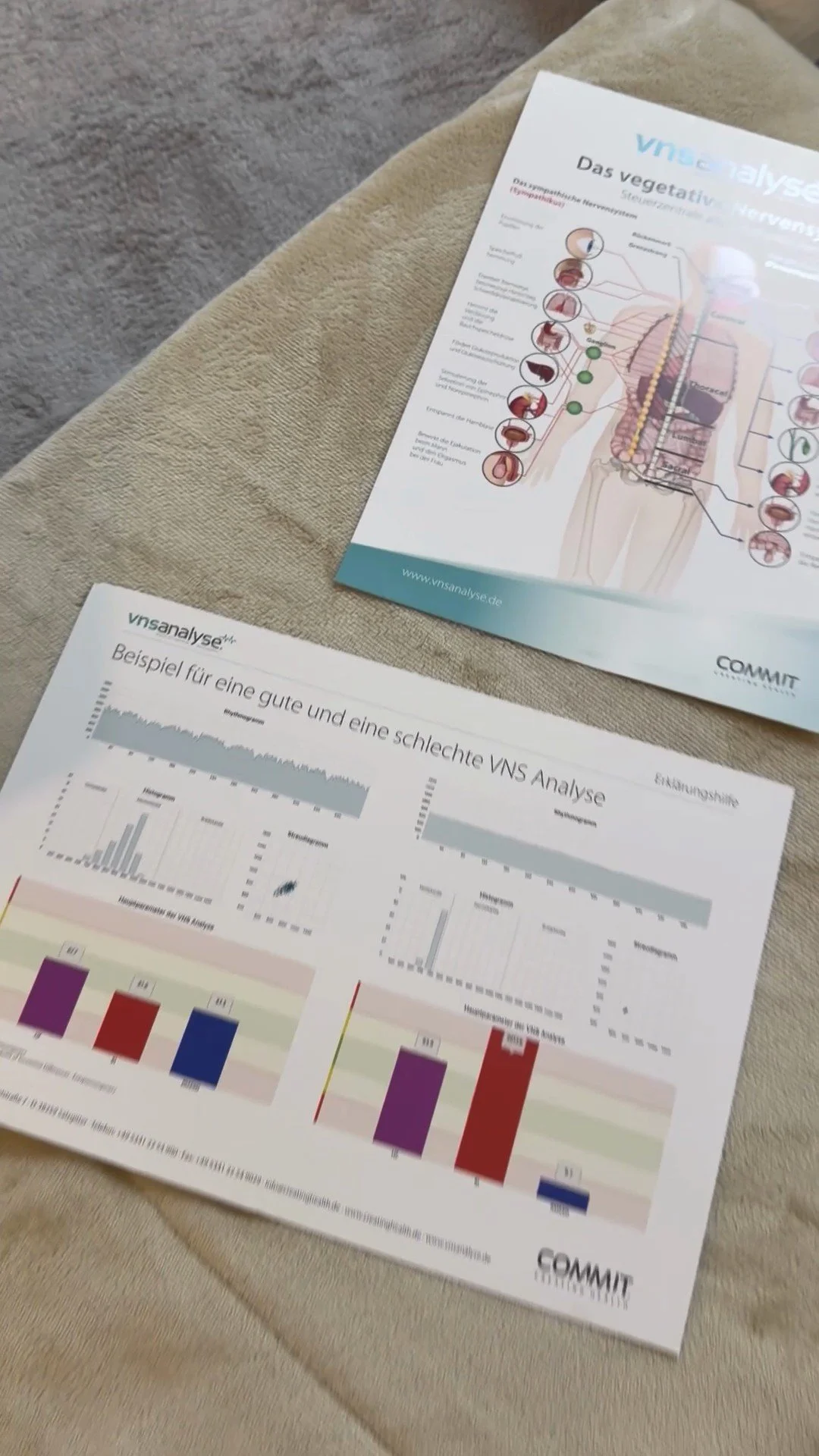 Zwei Erklärblätter zur VNS-Analyse auf der Liege: das vegetative Nervensystem und ein Beispiel für eine gute und eine schlechte Auswertung