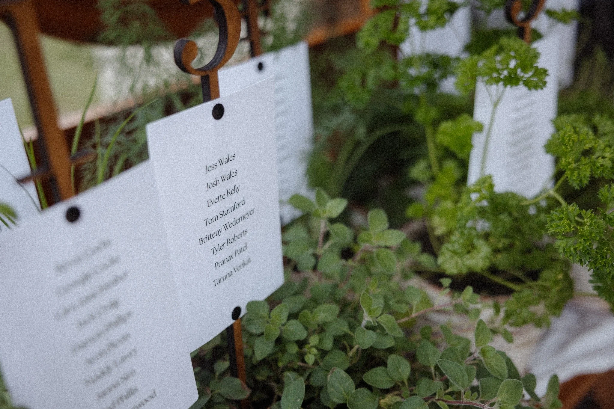 Seating charts, but make it a feature. 🌿

For Amy Jo &amp; Tom, we repurposed a gorgeous vintage dresser, adorned it with fresh potted herbs, and created a seating display that was both functional and visually stunning. (Our bride wanted full hands 