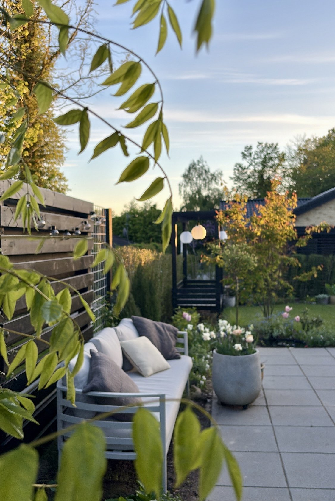 Before and after transformation of a newbuild garden, showing how an unfinished outdoor space can be turned into a calm, functional garden in just one season.