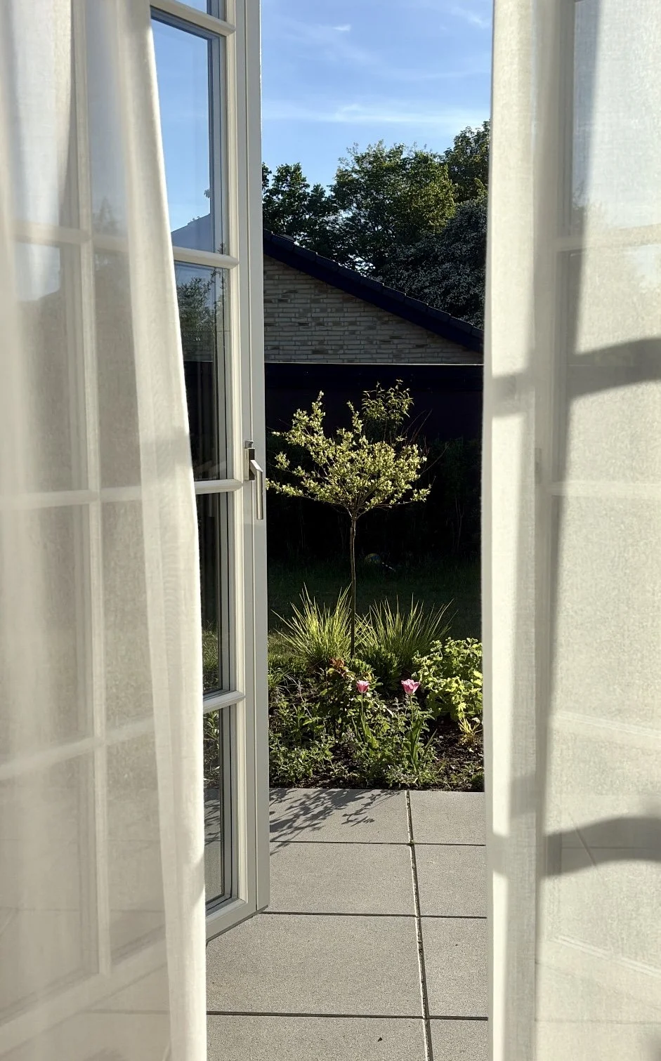 Before and after transformation of a newbuild garden, showing how an unfinished outdoor space can be turned into a calm, functional garden in just one season.
