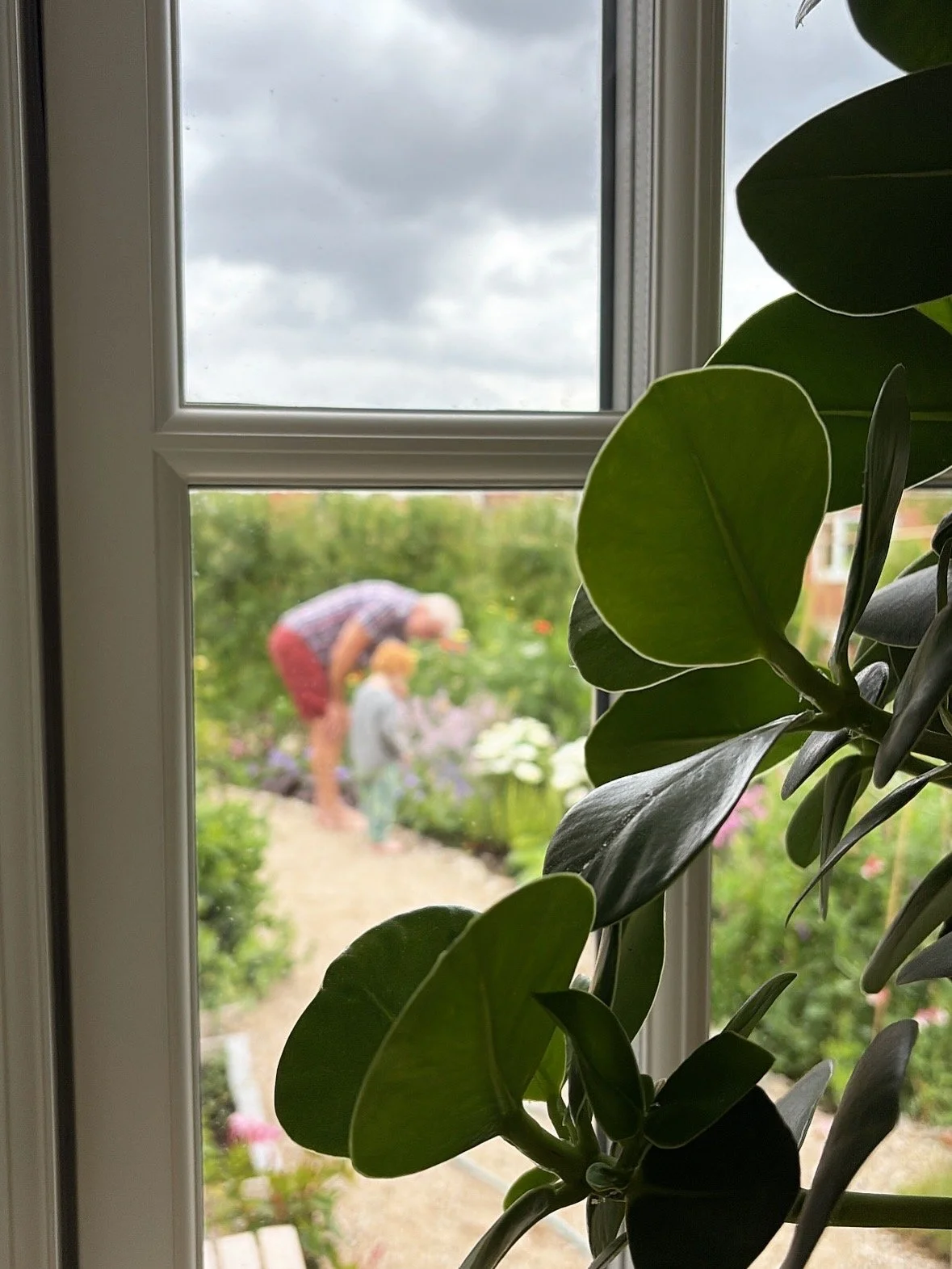 Before and after transformation of a newbuild garden, showing how an unfinished outdoor space can be turned into a calm, functional garden in just one season.
