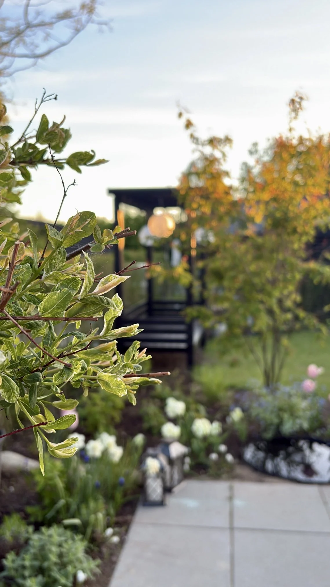 Familiehave i skandinavisk stil, frodige bede og naturstensti. Lys og indbydende stemning med grønne og blomstrende planter i afdæmpede farver.