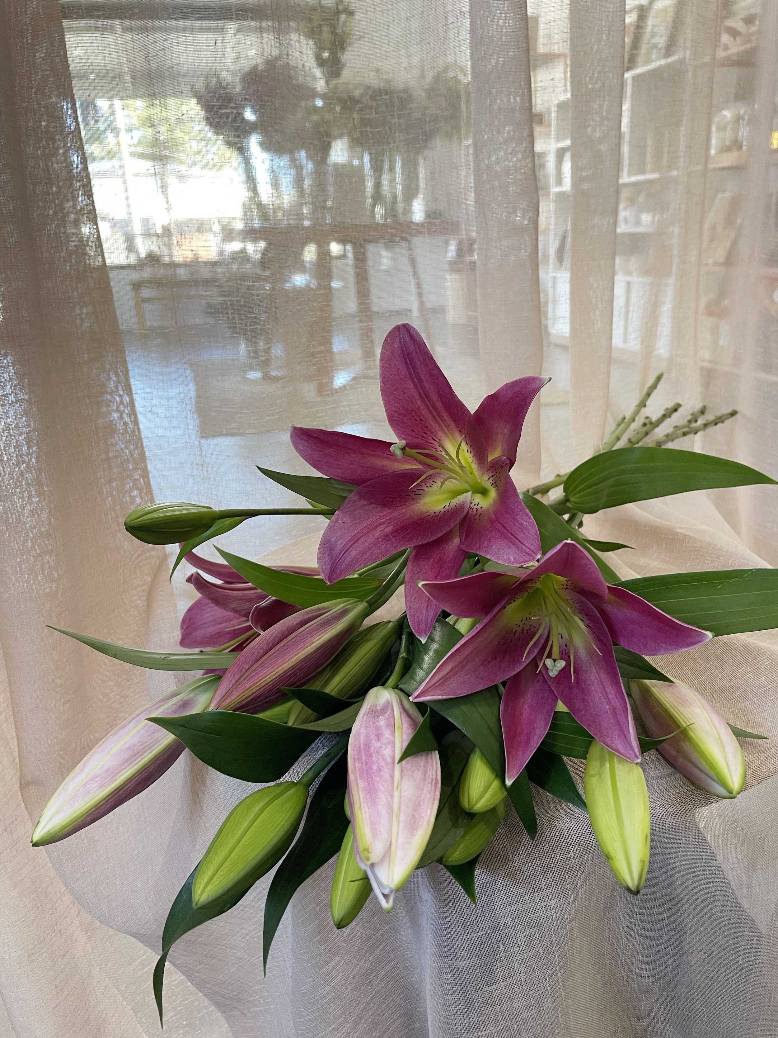 pink orientals unwrapped.jpg