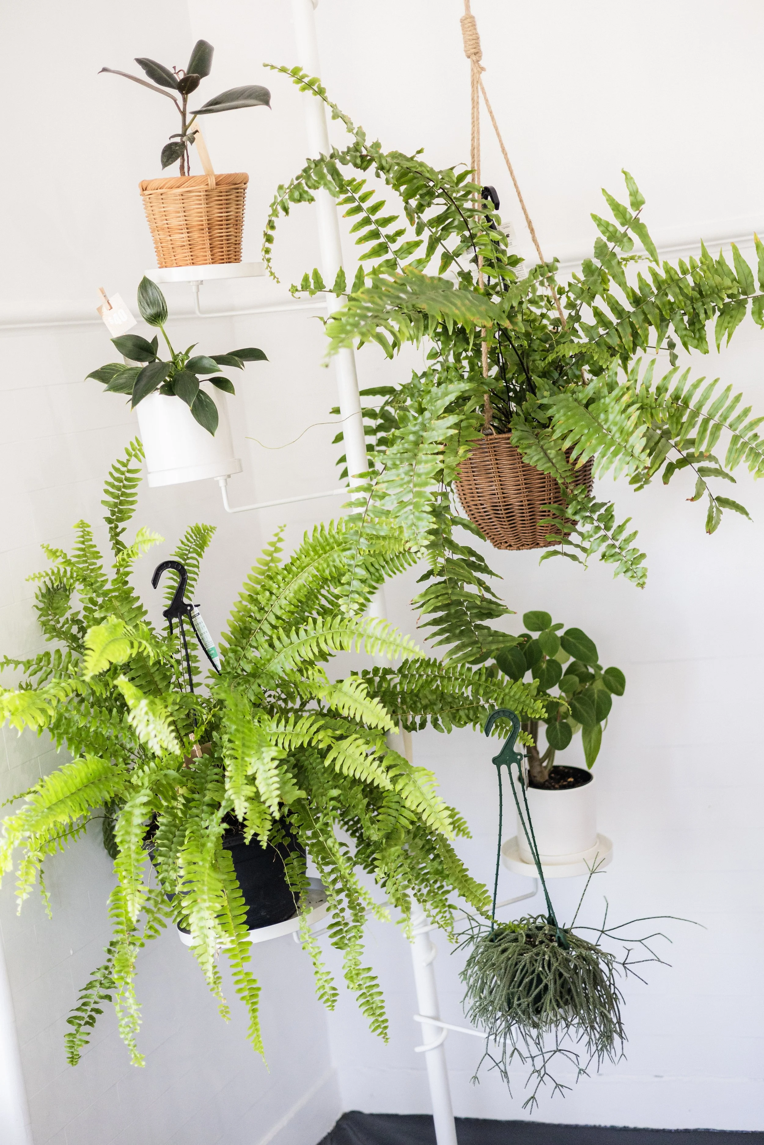 Tension Plant Pole with Trays