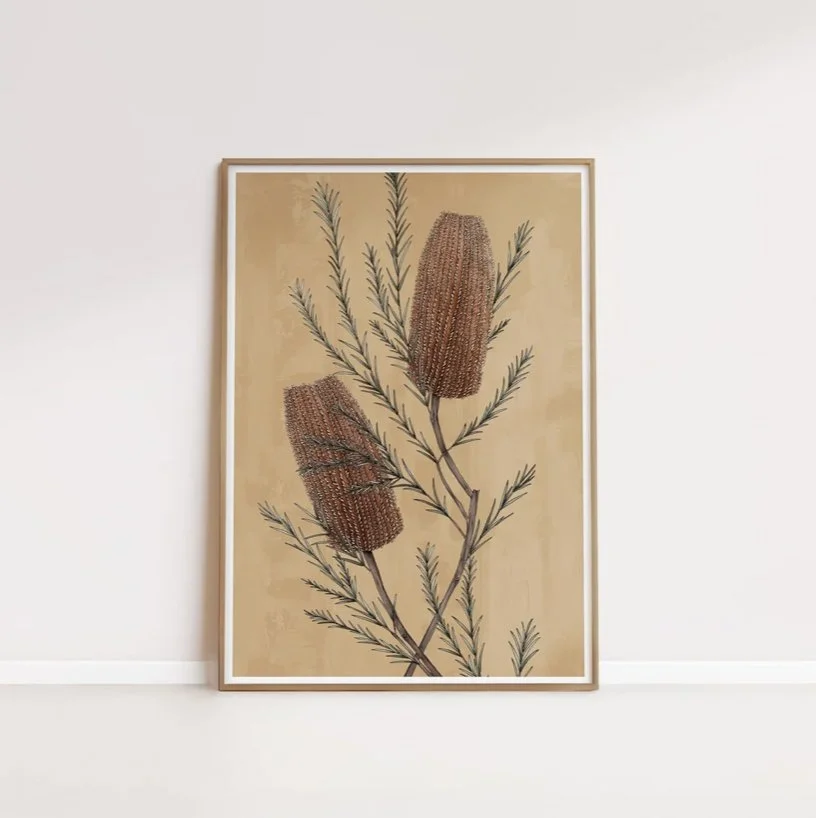 Banksia Portrait Print.jpg