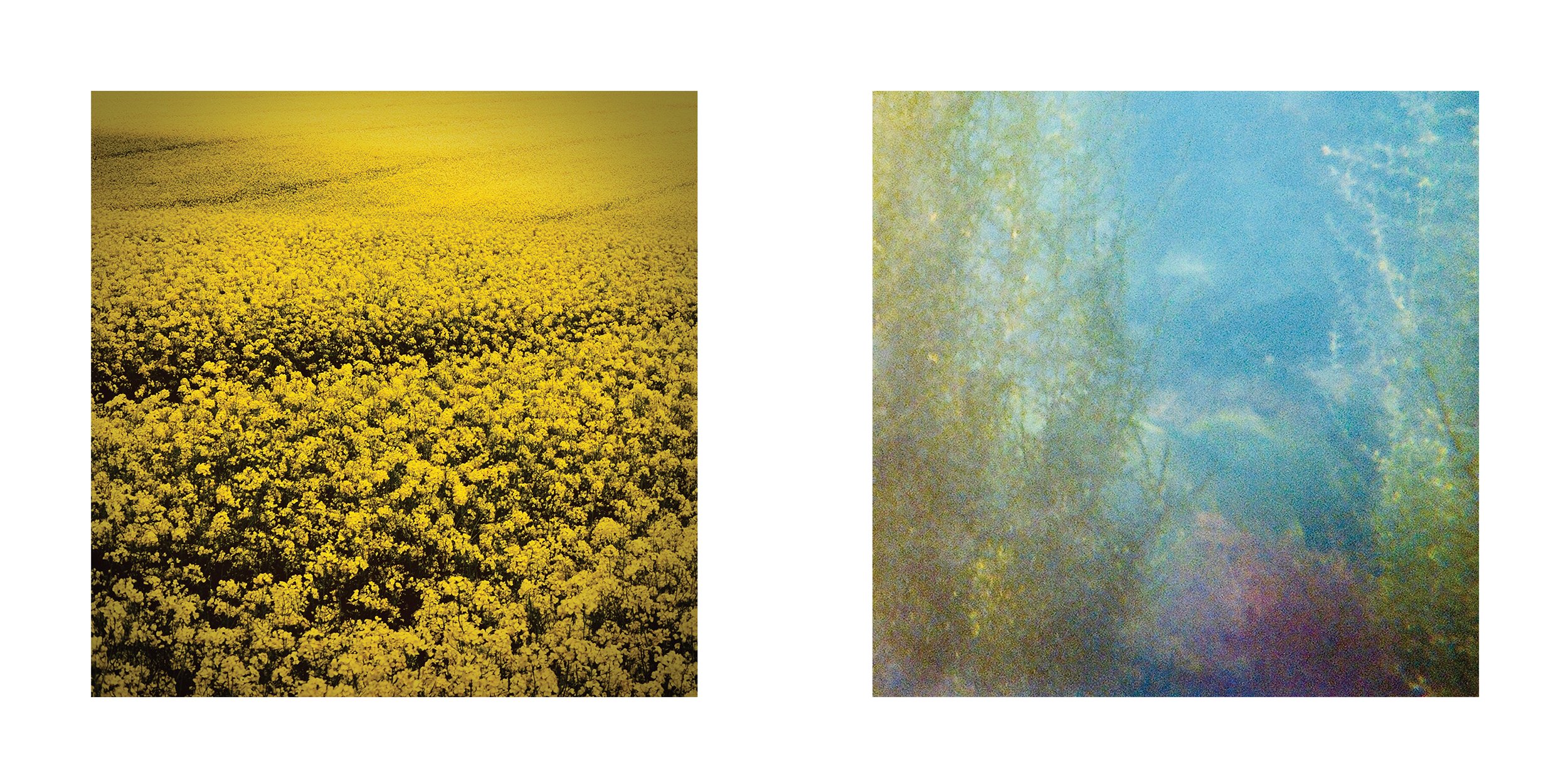 Jaques Tutcher-Abstract -Fine Art Photographer- Page 5.jpg