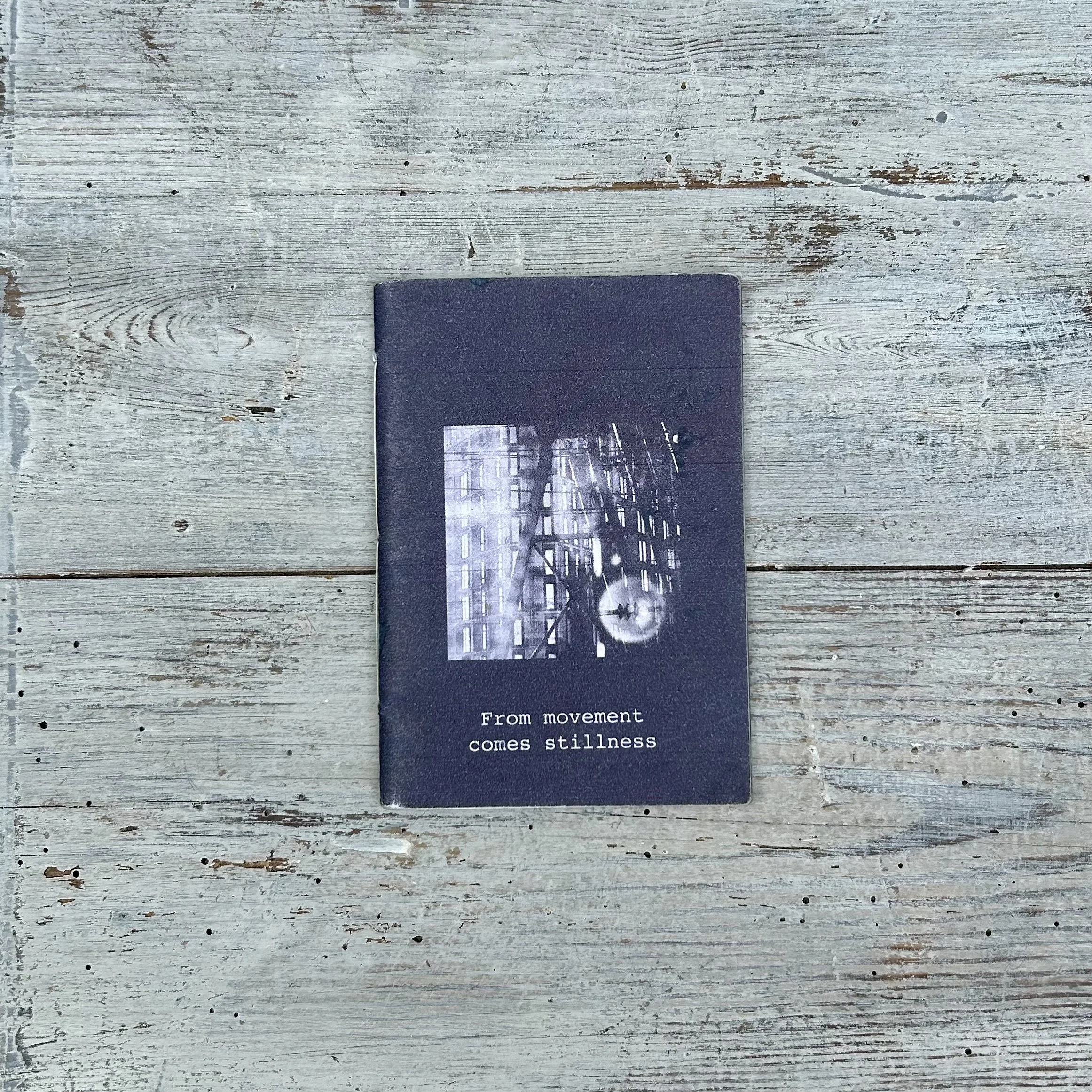 From Movement Comes Stillness