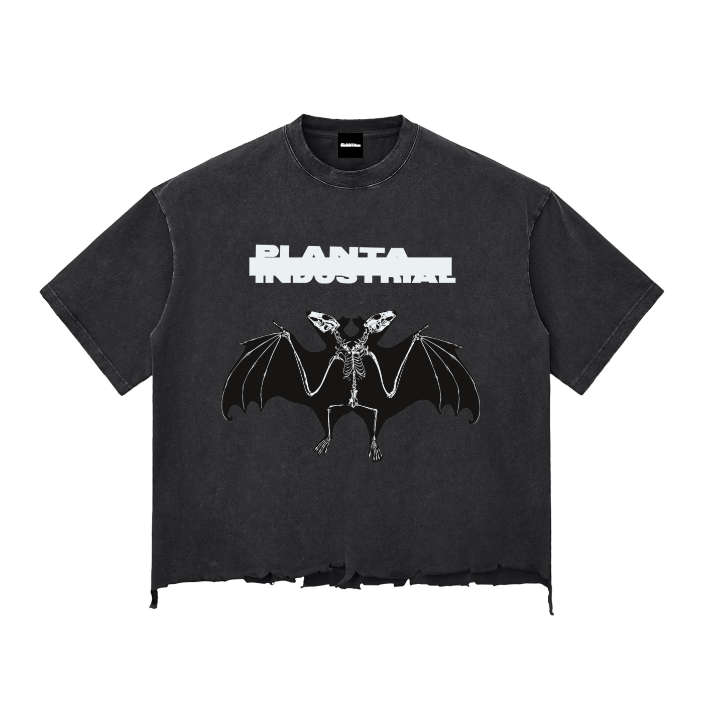 Duo Bat Snow Wash Boxy Tee
