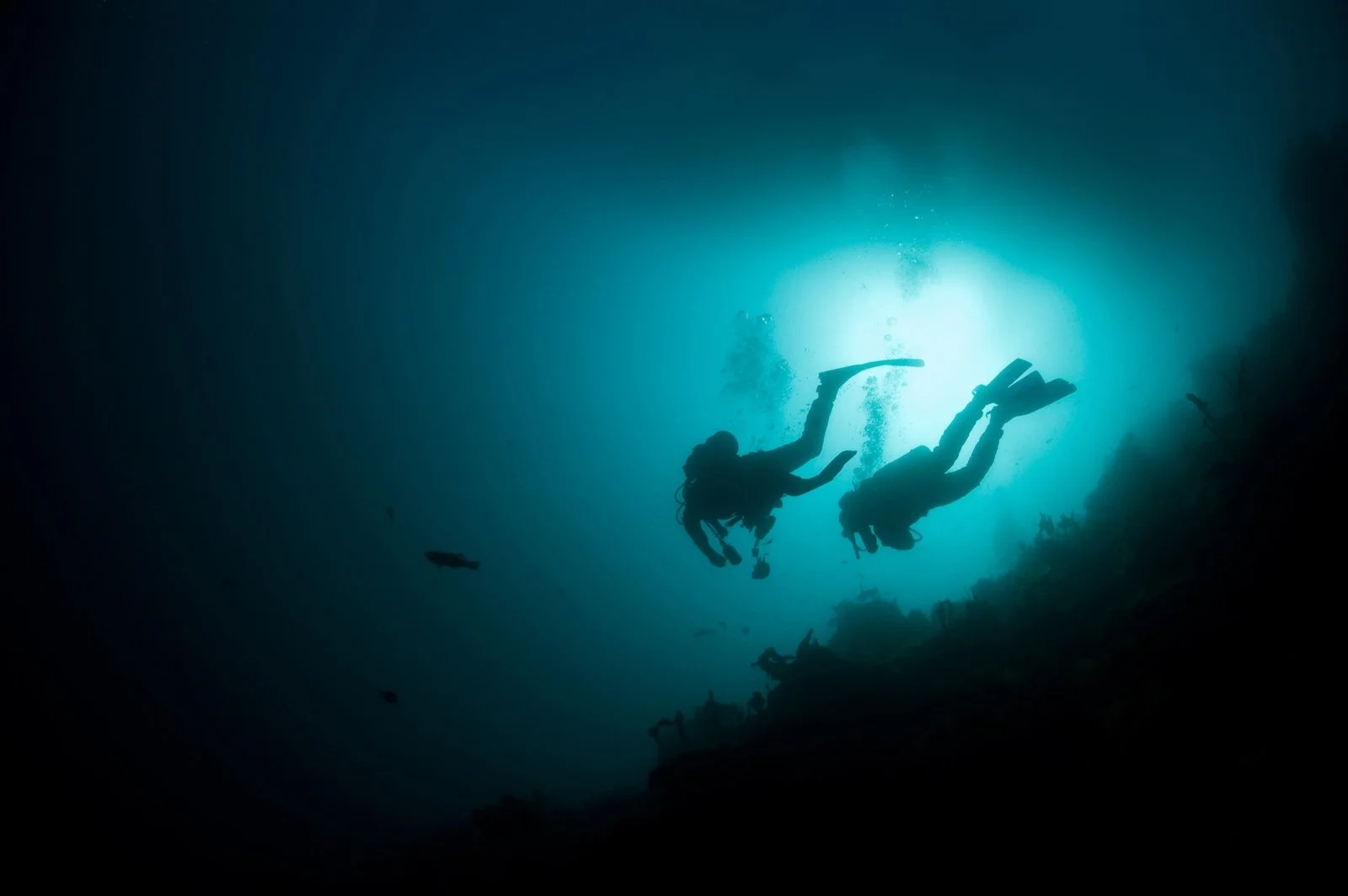 Escape the ‘Sea of Same’