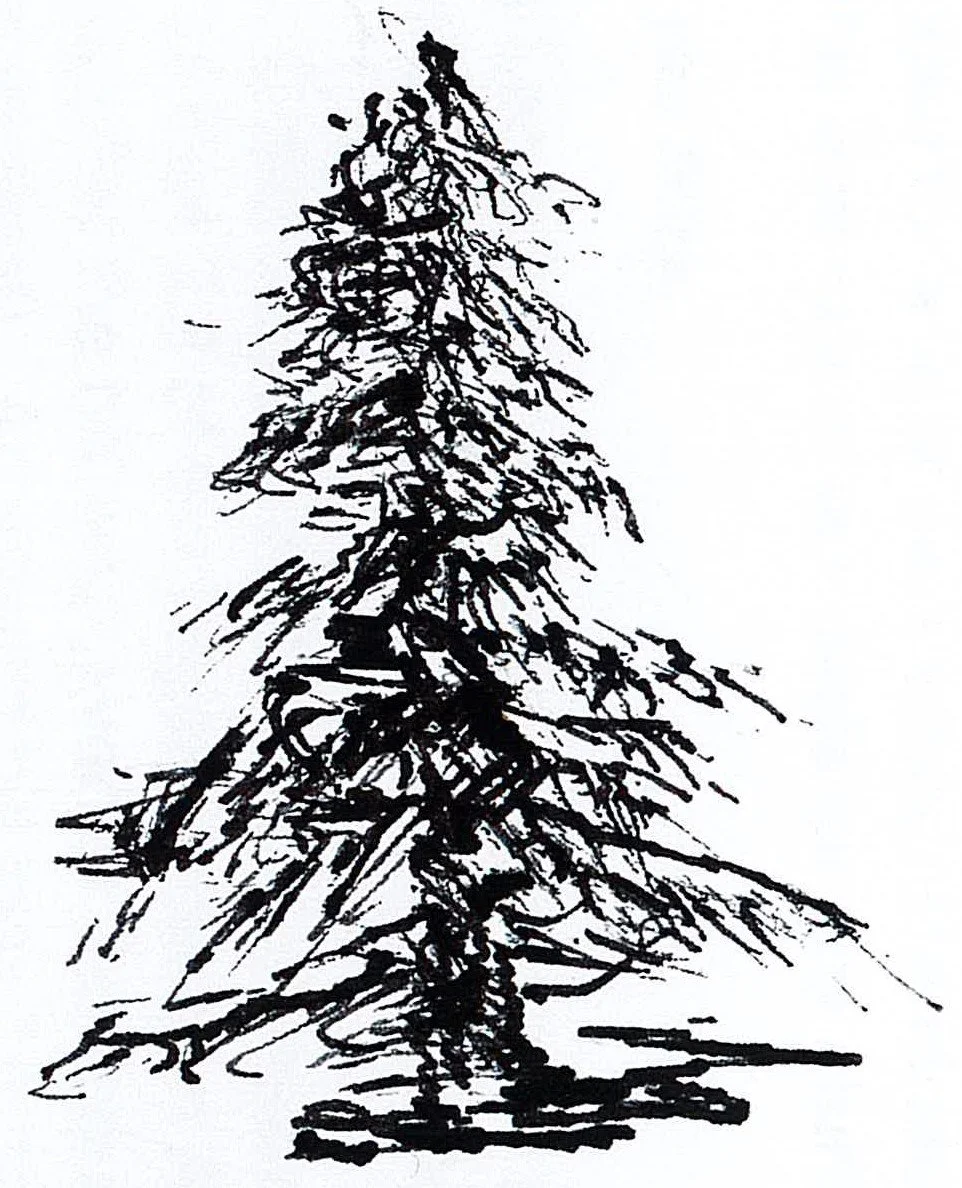 Why the name — The Deodar Foundation