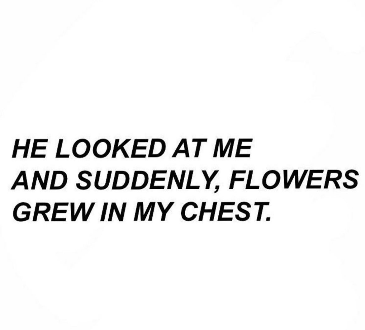 Quote saying, 'He looked at me and suddenly, flowers grew in my chest,' on a plain white background.