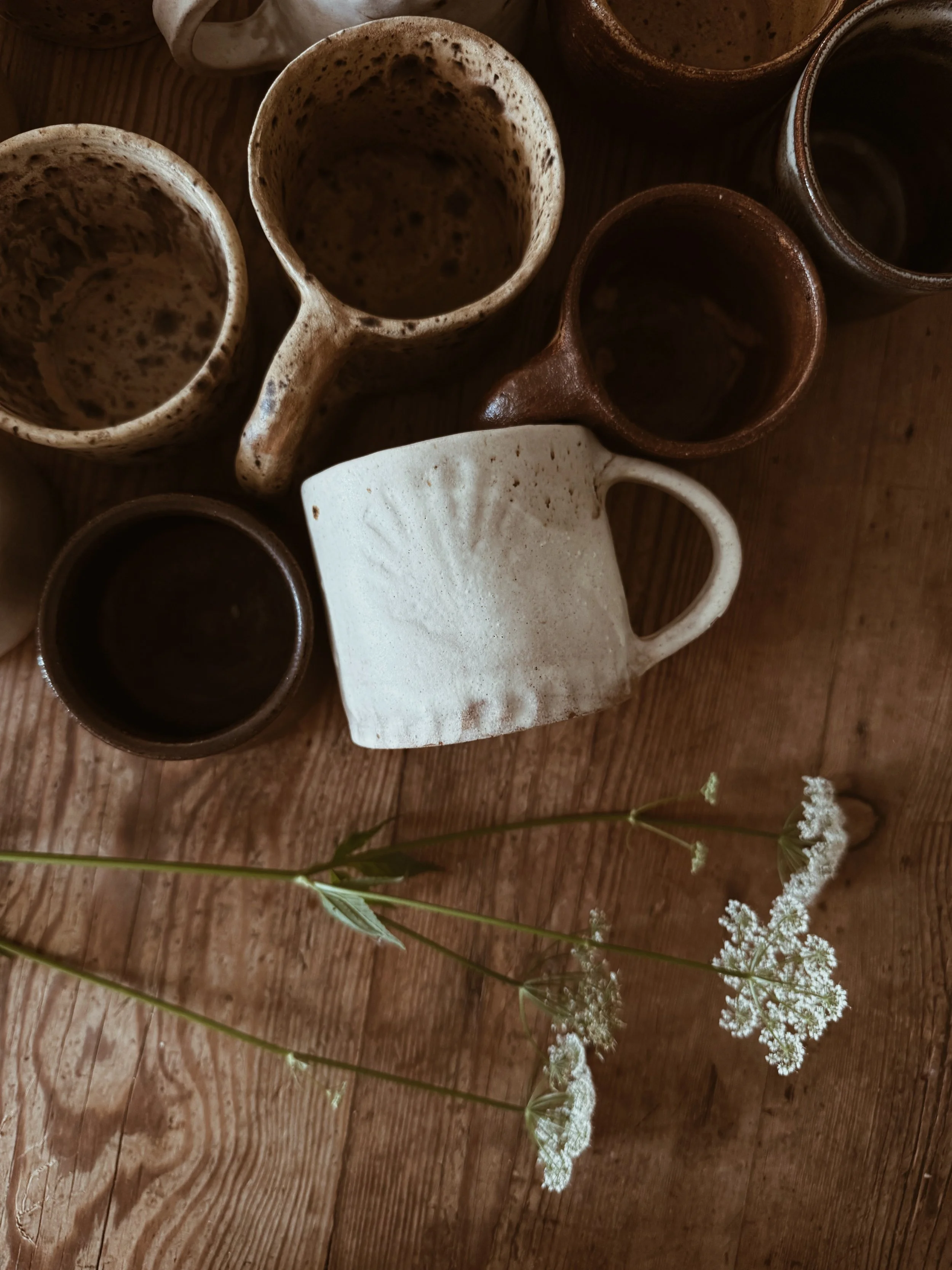 Shell imprinted mug