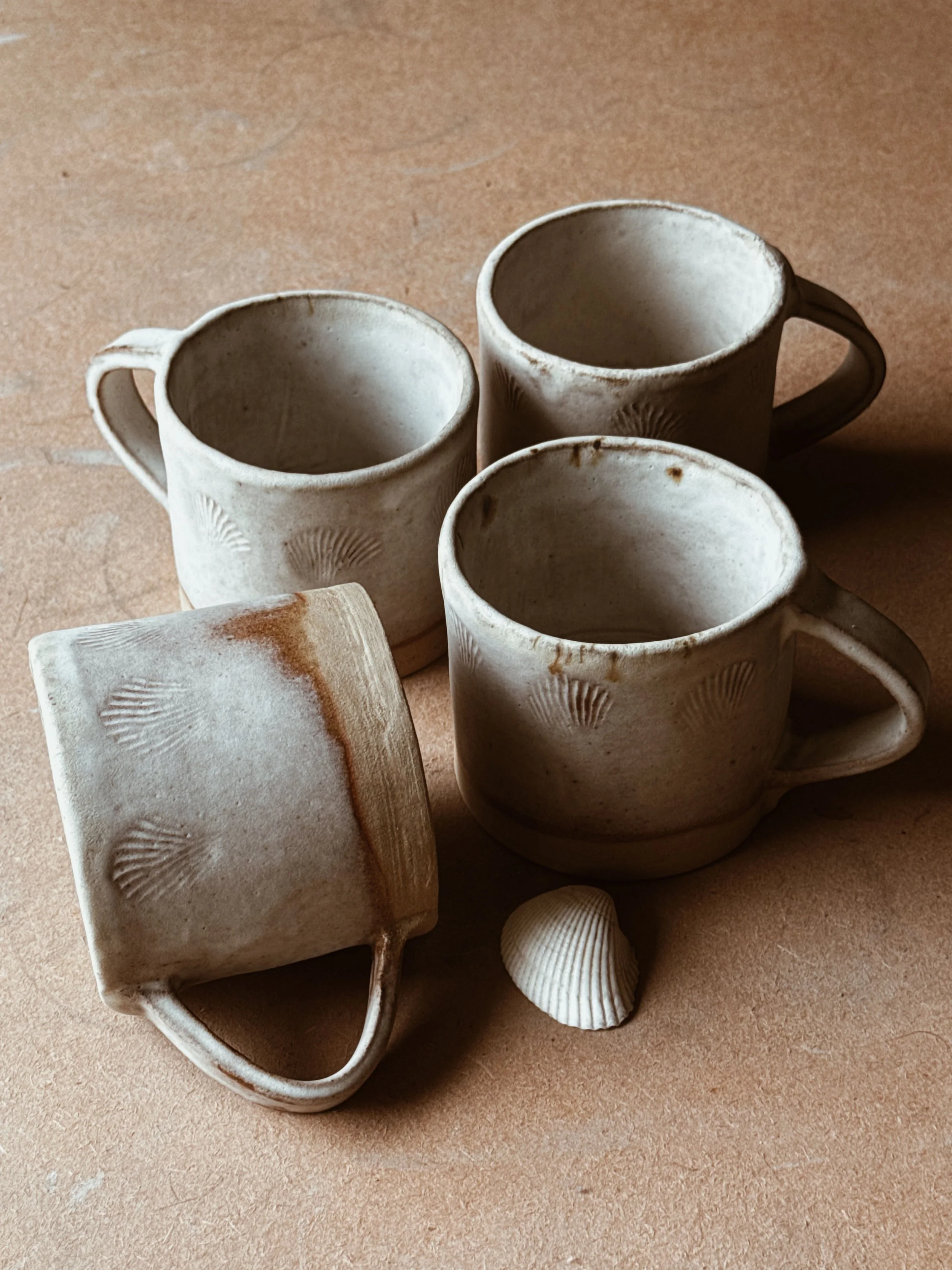shellseeker cup