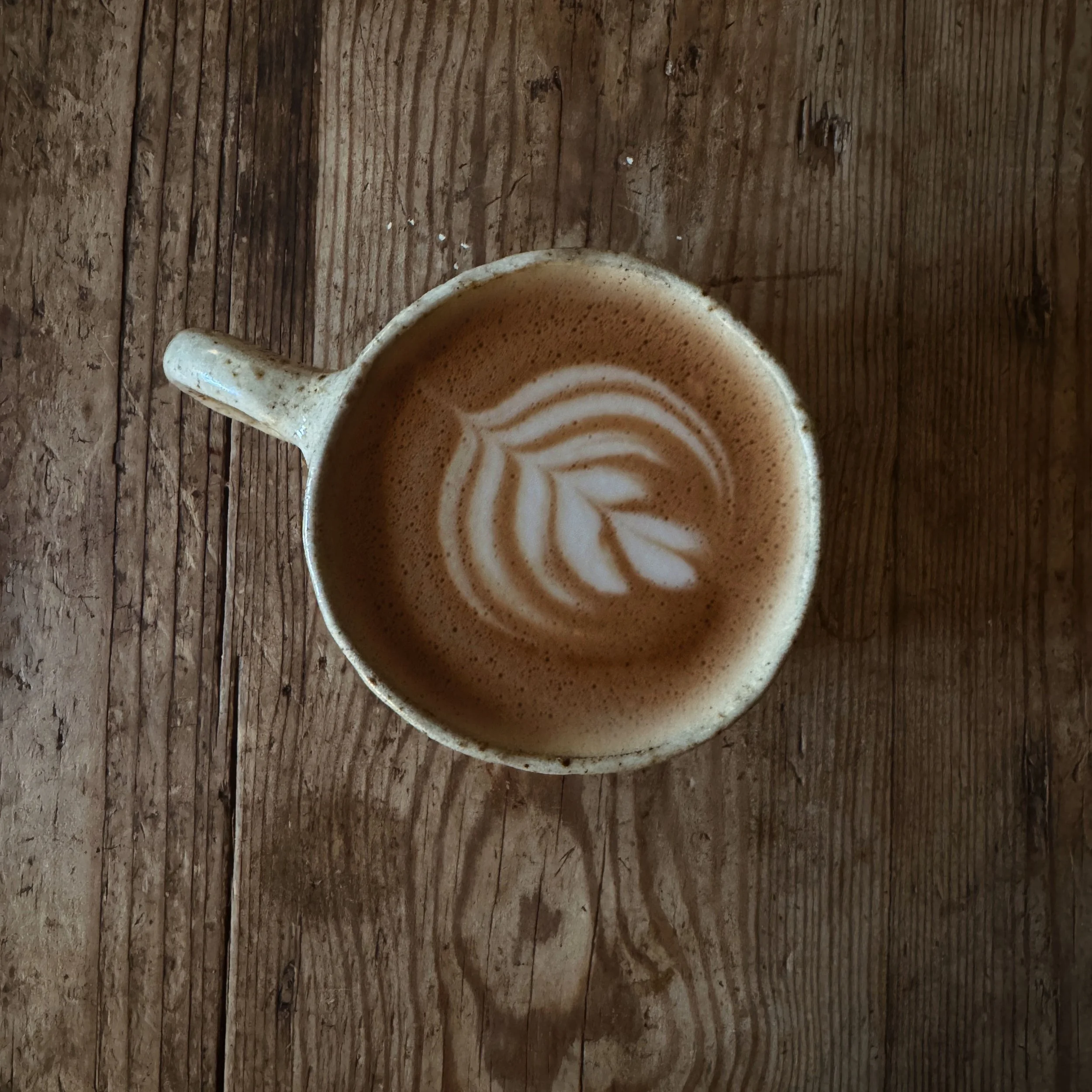 Mug Handbuilding Workshop