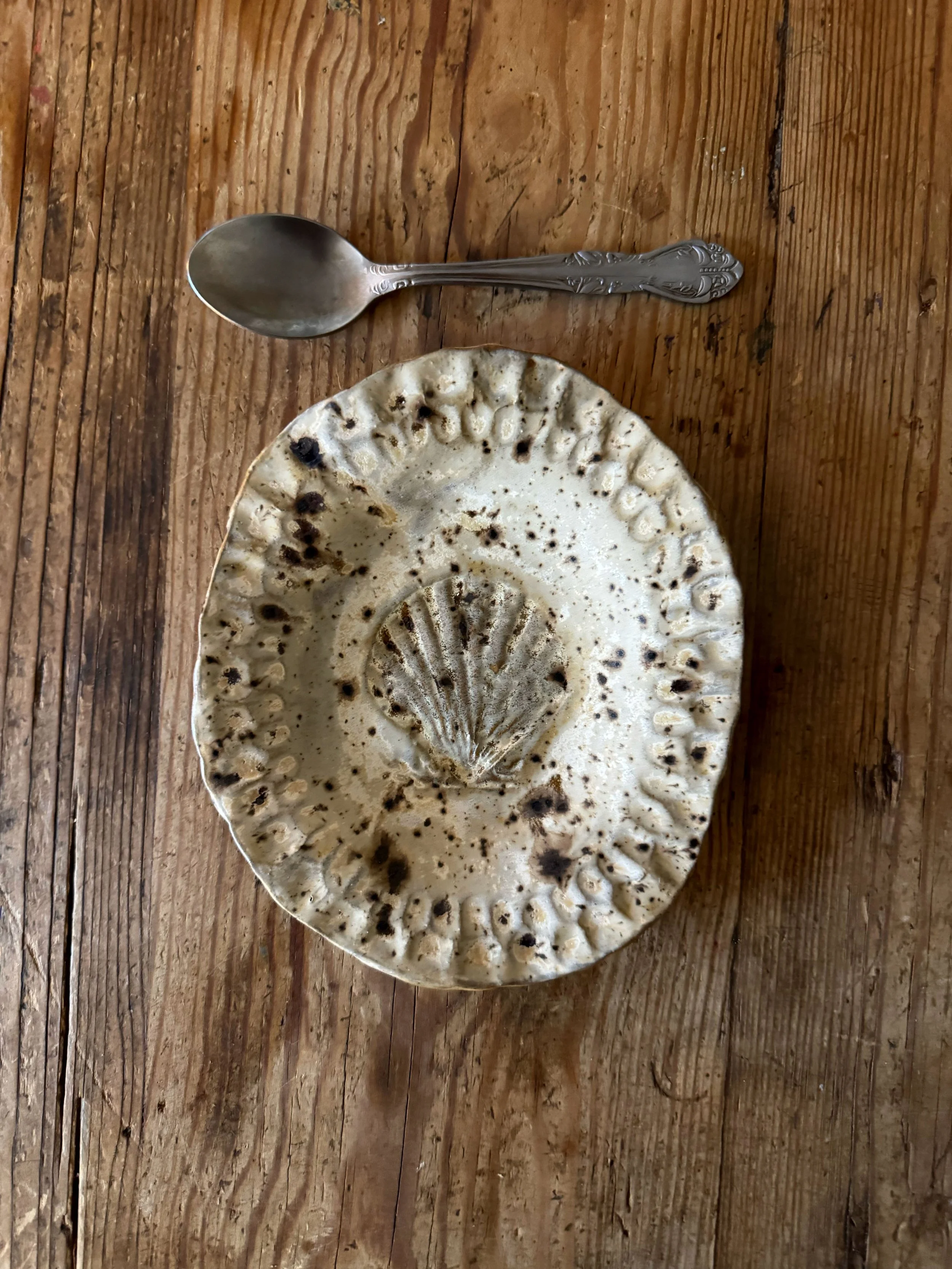 Little speckled shell plate