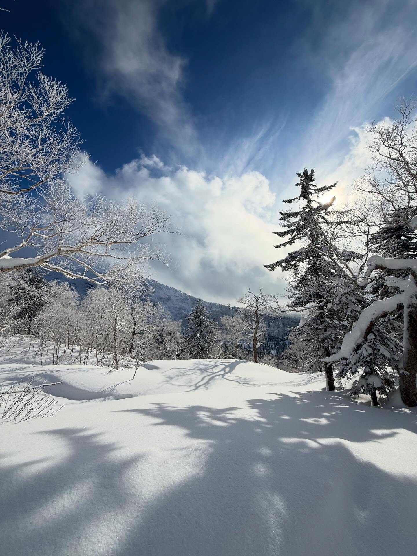 Incredible weather and snow on Asahidake today. Probably the best (only?) place right now to get some proper powder in Japan.

今日の旭岳は天気も雪質も最高。今の日本で本当に良いパウダーを楽しめるのは、ほぼここだけかもしれない。

#Asahidake #Hokkaido #JapanSnow #PowderSnow #SkiJapan #BackcountryJapan