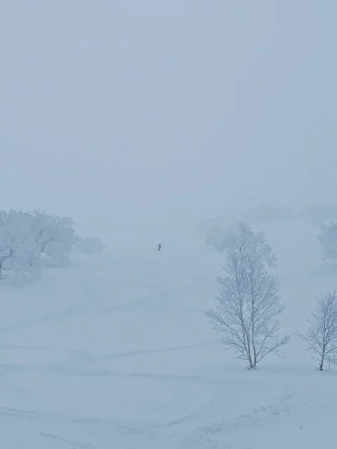 March 1 - After a difficult week, we finally got some new snow in Furano and were able to climb the lovely Tokachidake. Fingers crossed for the next week, but Furano looks a whole lot better than the rest of Japan at the moment.
3月1日。厳しい一週間でしたが、富良野によ