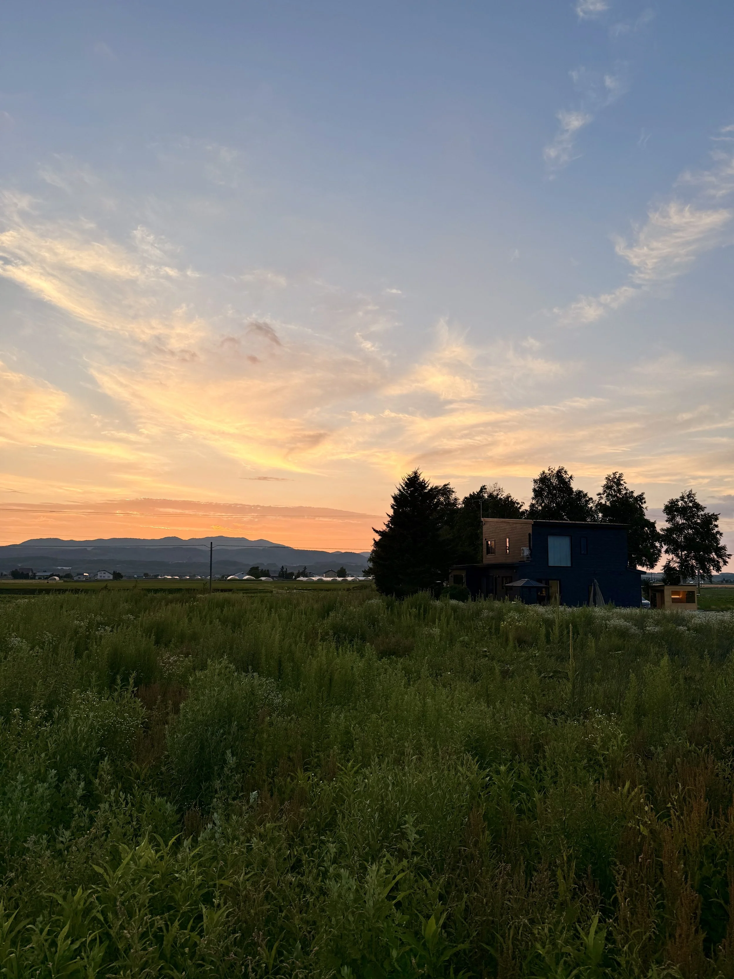 A rural landscape at sunset with an open green field, a black-grey house, a few trees, and mountains in the distance under a colorful sky with orange and blue clouds.