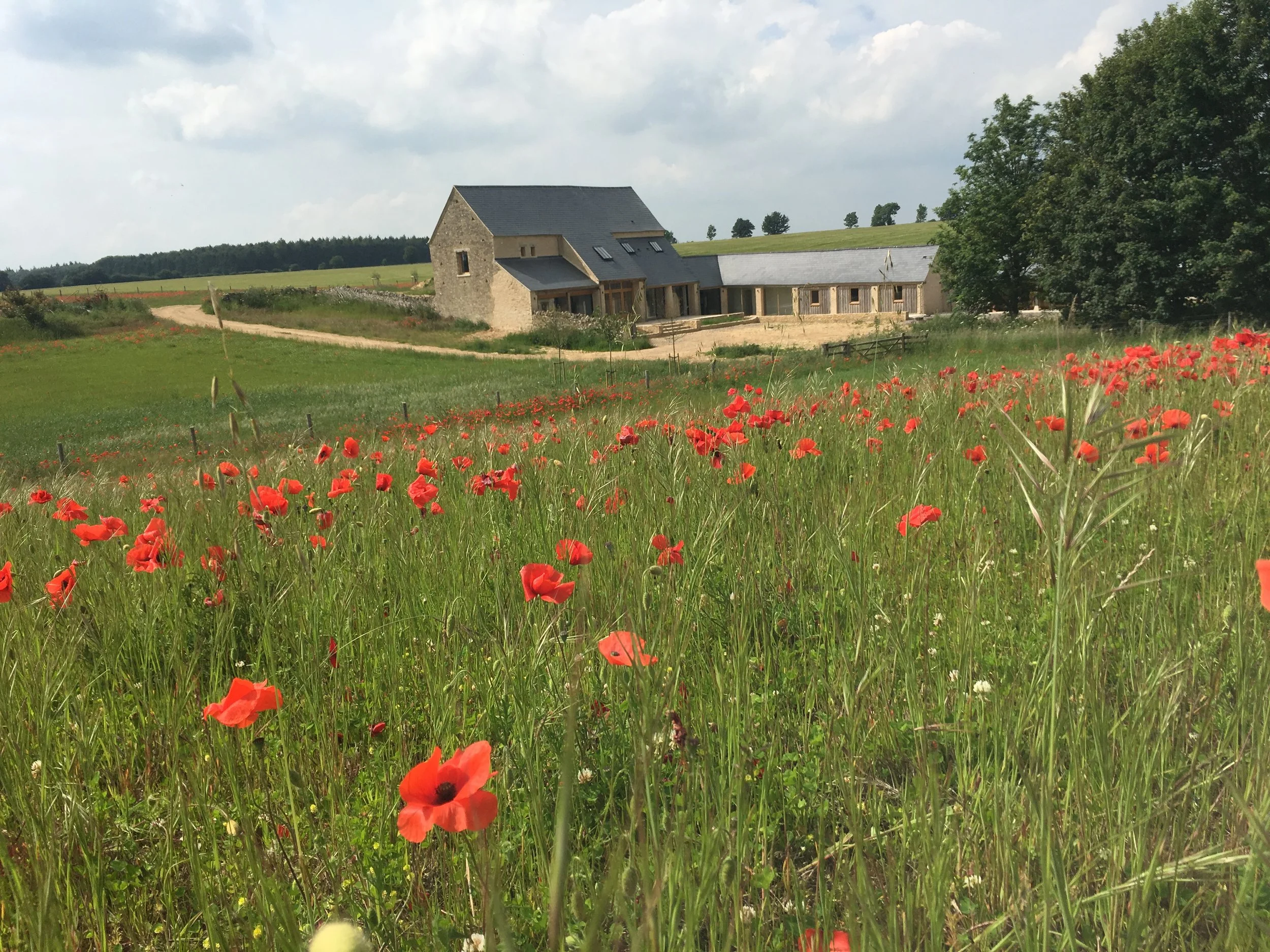 Self-Build Barn Conversion
