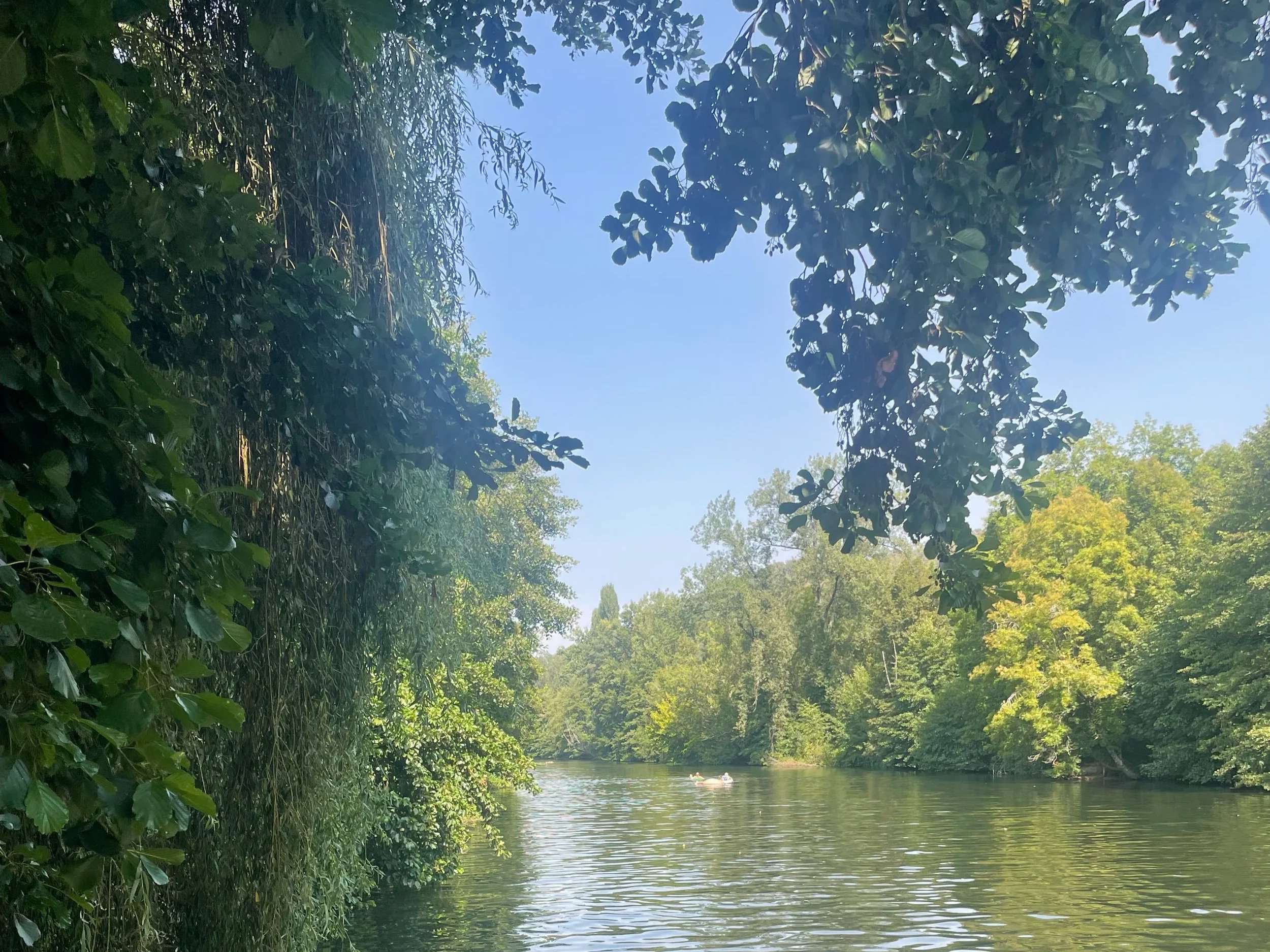 A river surrounded by lush green trees with a boat on the water and clear blue sky overhead.