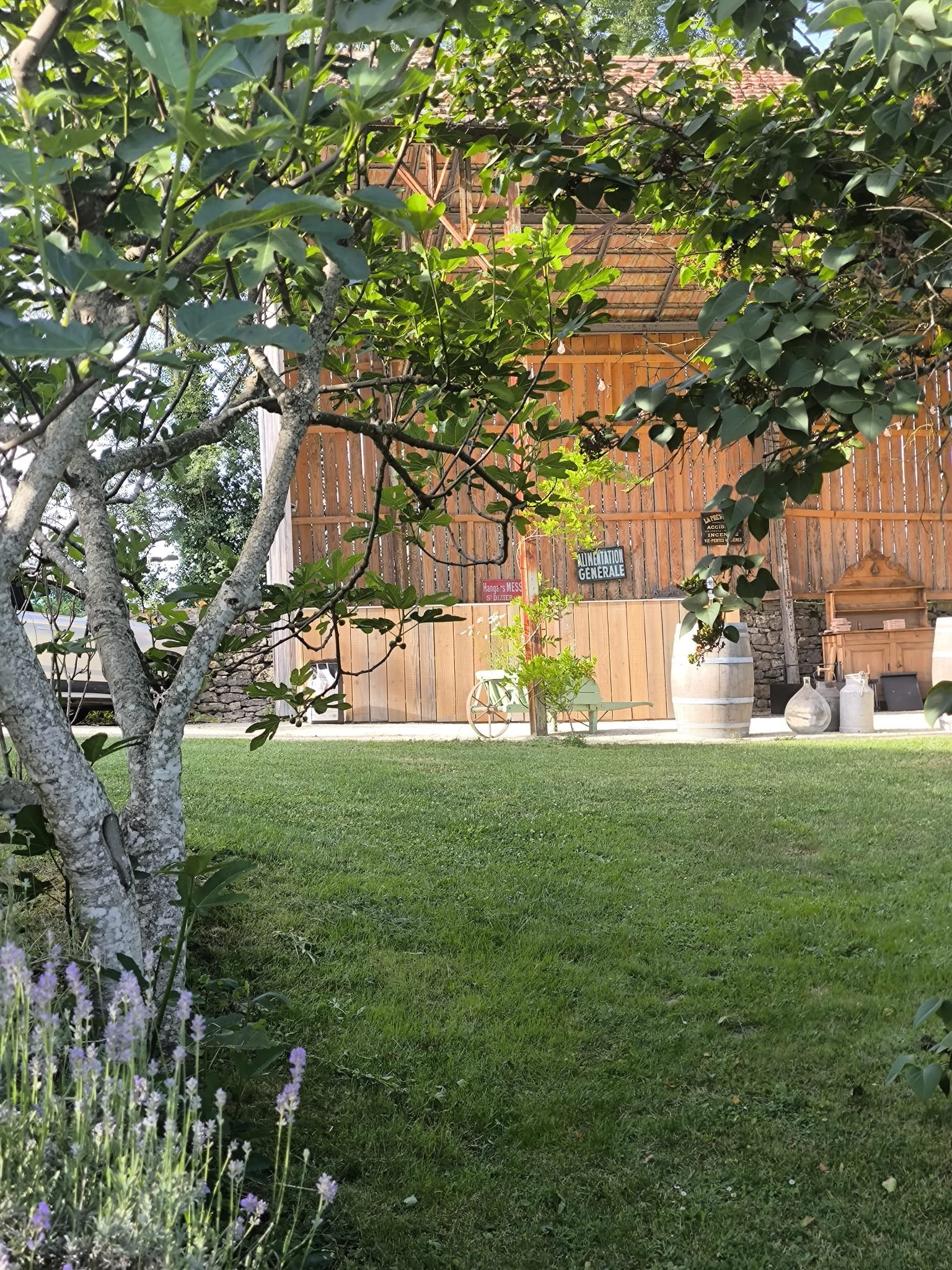 A lush garden area with green grass and a tree with thick, textured branches and broad dark green leaves. In the background, there is a wooden fence and some outdoor decor, including a small plant stand, vases, and signs. The scene is bright with sun