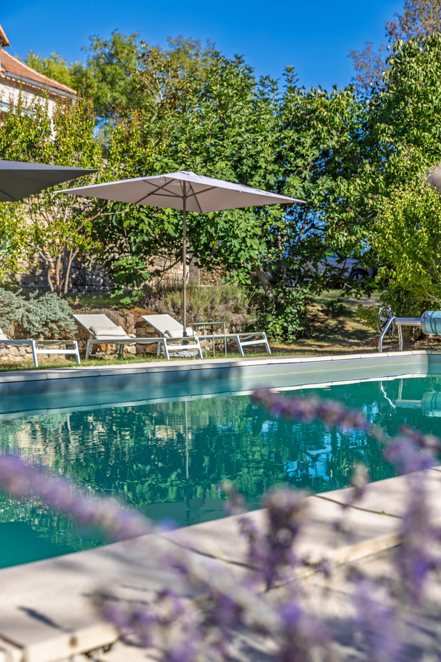 View of a backyard swimming pool with lounge chairs and umbrellas, surrounded by lush green trees, with a house in the background and a clear blue sky.