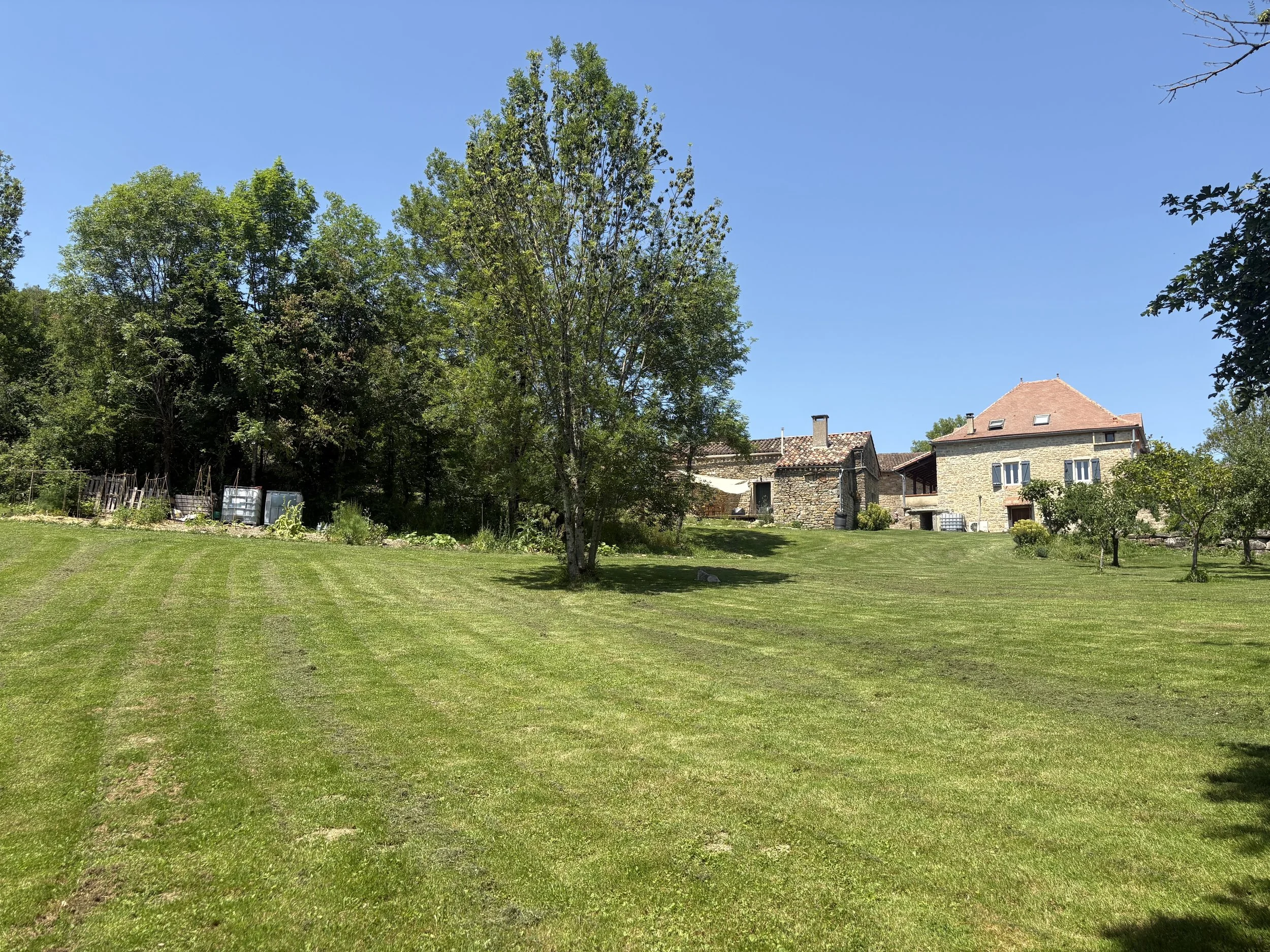 A green backyard with a lawn, trees, and a stone house with a red tile roof under a clear blue sky.