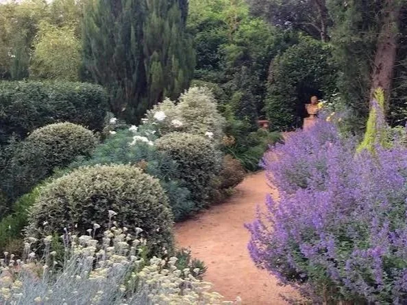 A dirt path winding through a lush garden with various bushes and flowering plants, including purple lavender and white blooms, surrounded by tall green trees.