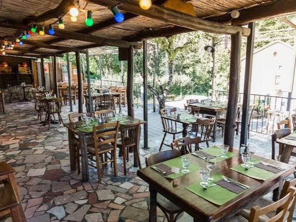 Upscale restaurant patio with wooden tables and chairs, set with green placemats, glasses, and silverware, decorated with colorful string lights, surrounded by trees and a scenic view.