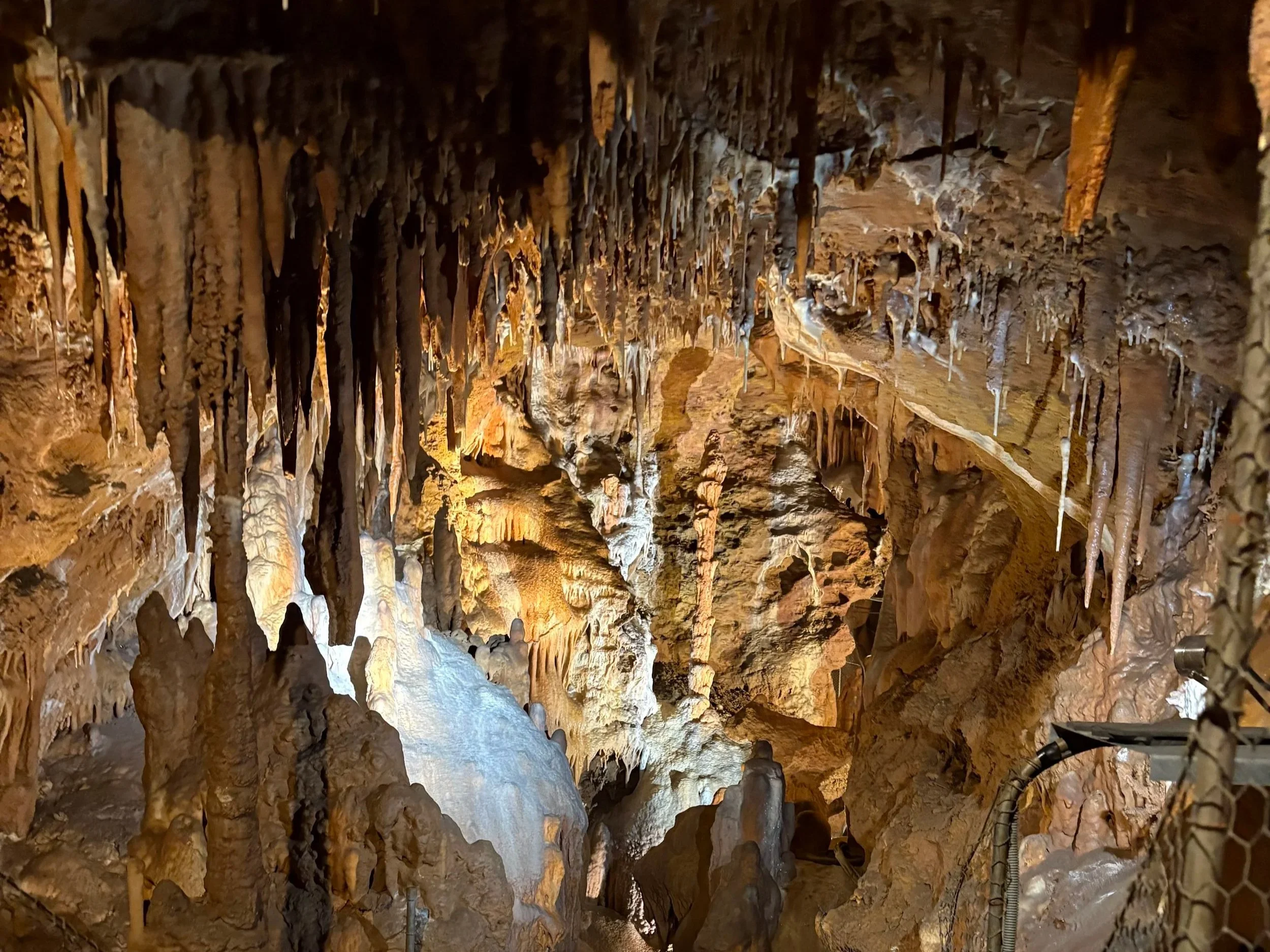 Inside a dimly lit cave with stalactites hanging from the ceiling and stalagmites rising from the ground, illuminated by warm artificial lighting.