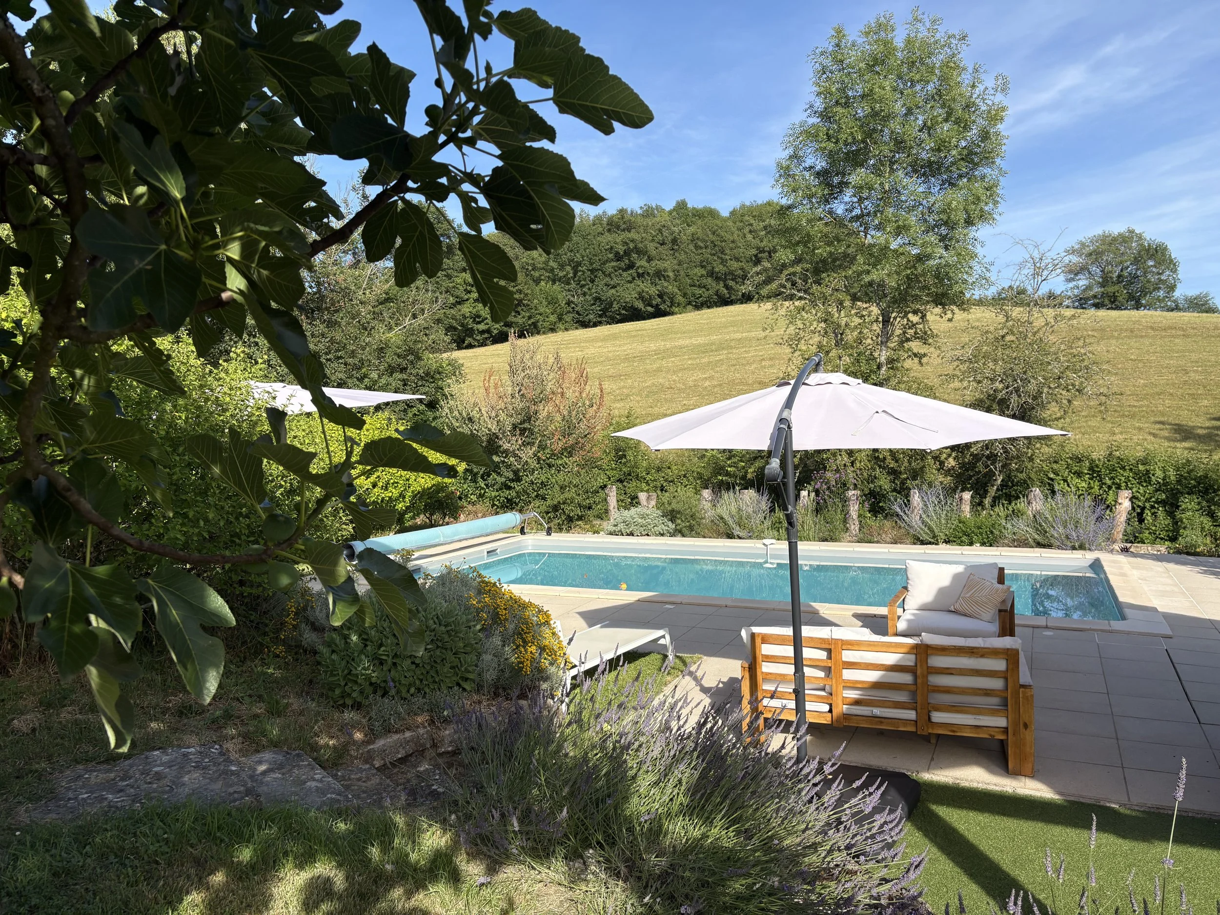 A backyard view featuring a swimming pool, a patio with outdoor furniture, umbrellas, and a lush green hillside with trees under a clear blue sky.