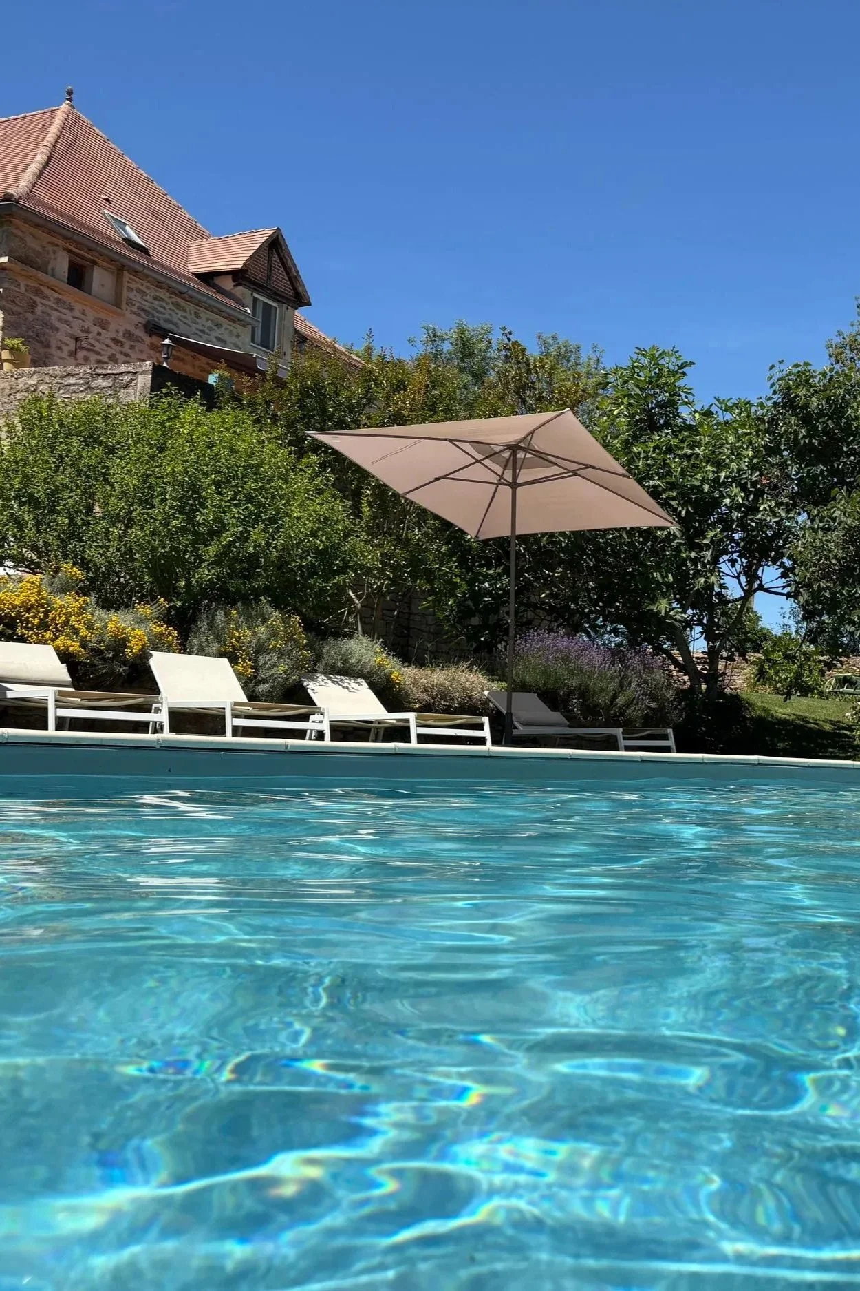 A swimming pool with clear blue water, surrounded by lounge chairs and a large umbrella, with a house and lush greenery in the background under a bright blue sky.