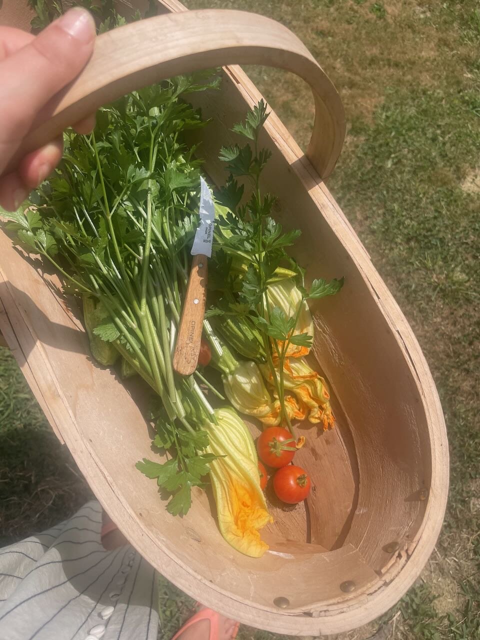 A selection of veggies from our garden