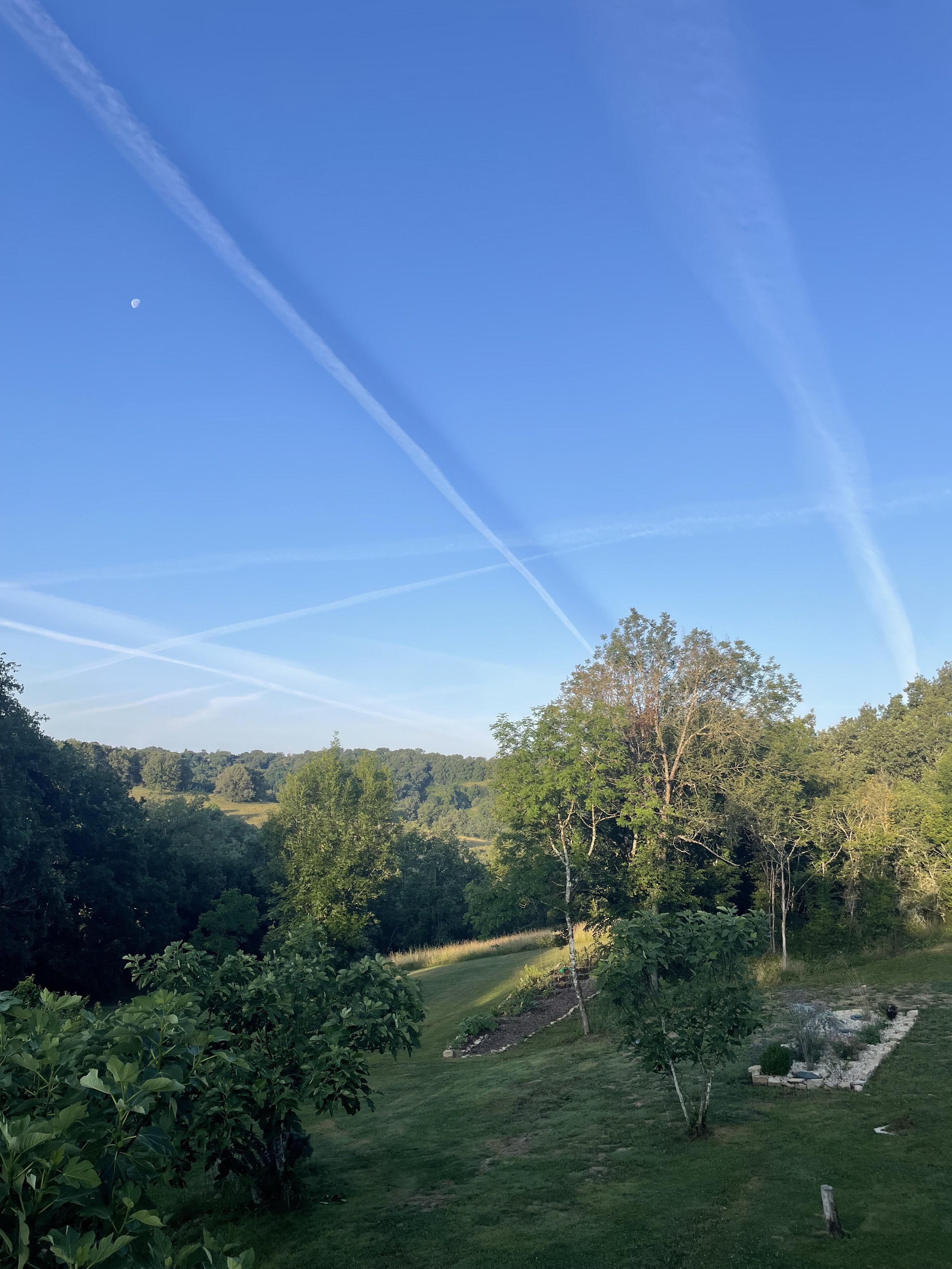 A lush green landscape with a clear blue sky