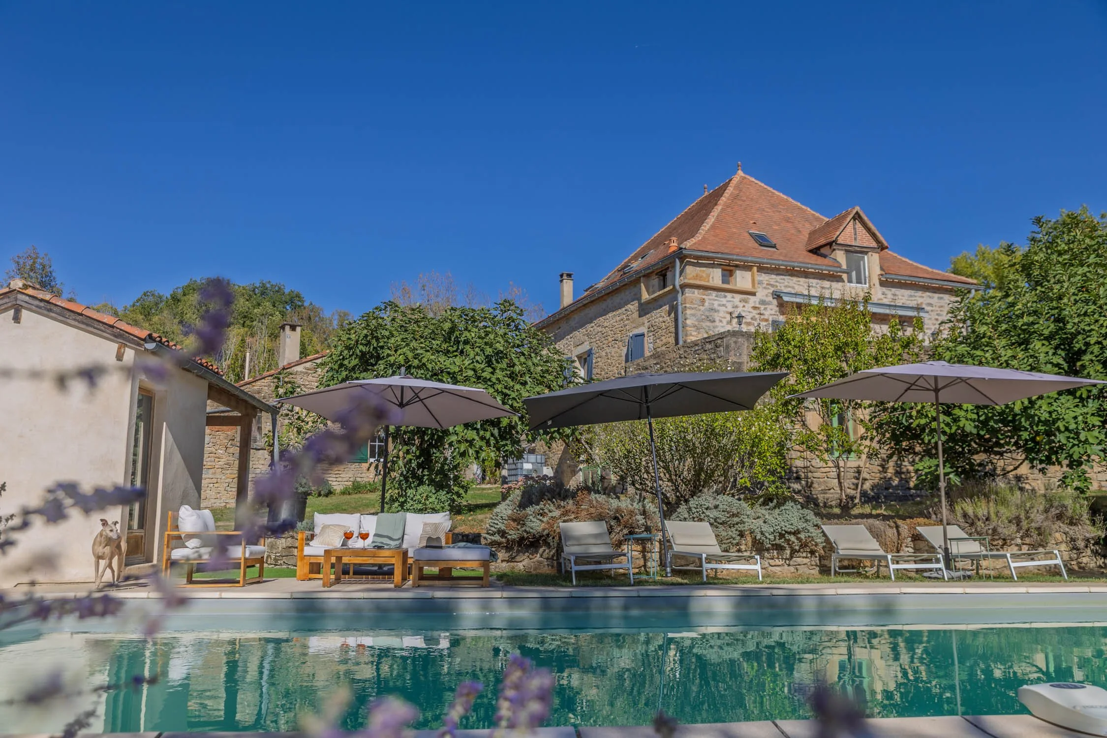 A backyard with a swimming pool, lounge chairs, umbrellas, a stone house with a red-tiled roof, and lush green trees under a clear blue sky.