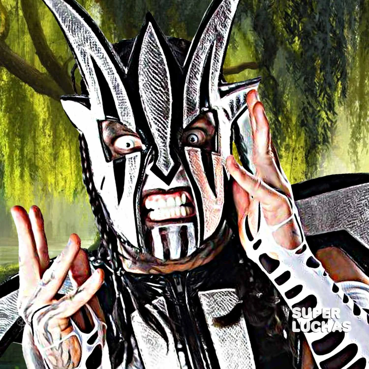 Jeff-Hardy-Willow-004.jpg