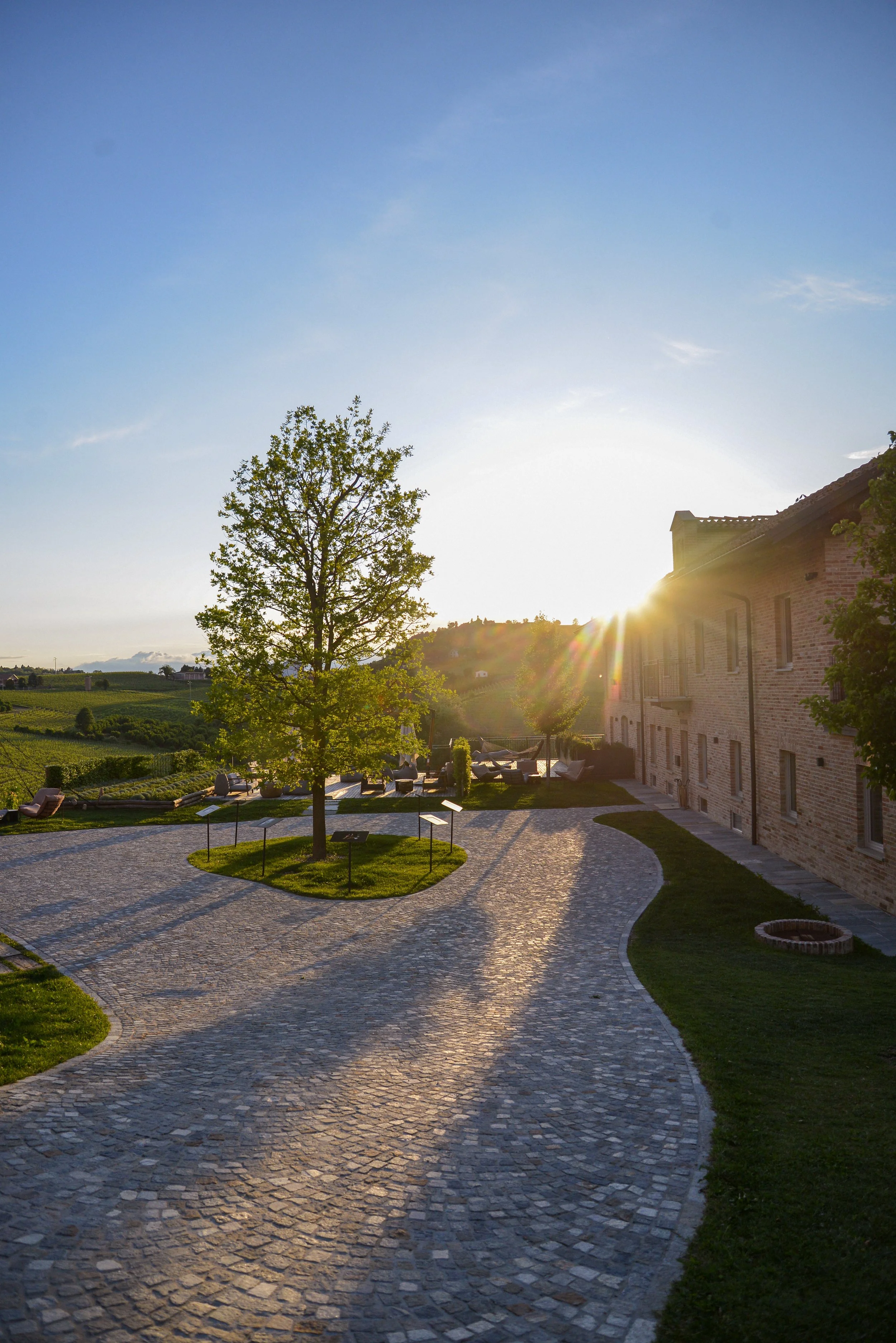 Le Marne - Quercia, MAG '25 - Yana Dankanych (3).jpg