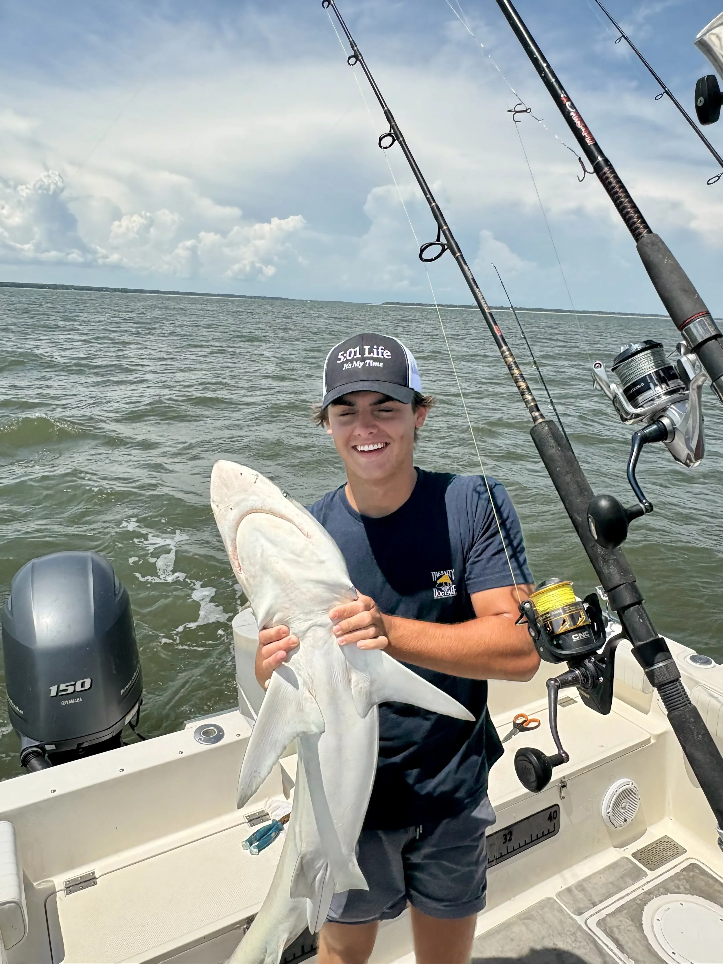 shark 1.jpg