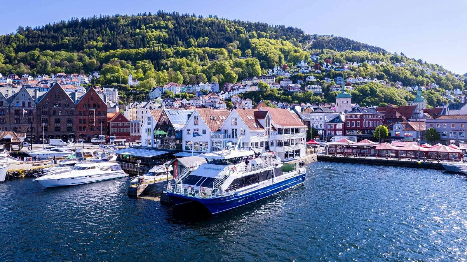 Fjord+Charter+Explorer+-+Mostraumen-25 532 under 250.jpg
