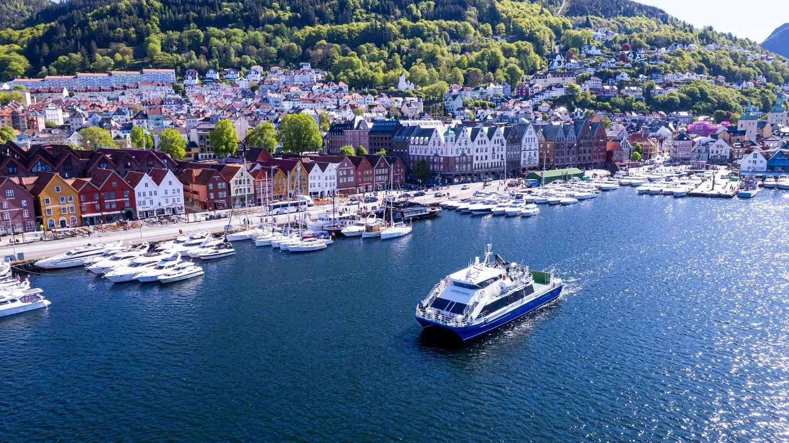 Fjord+Charter+Explorer+-+Mostraumen-33 545 under 250.jpg