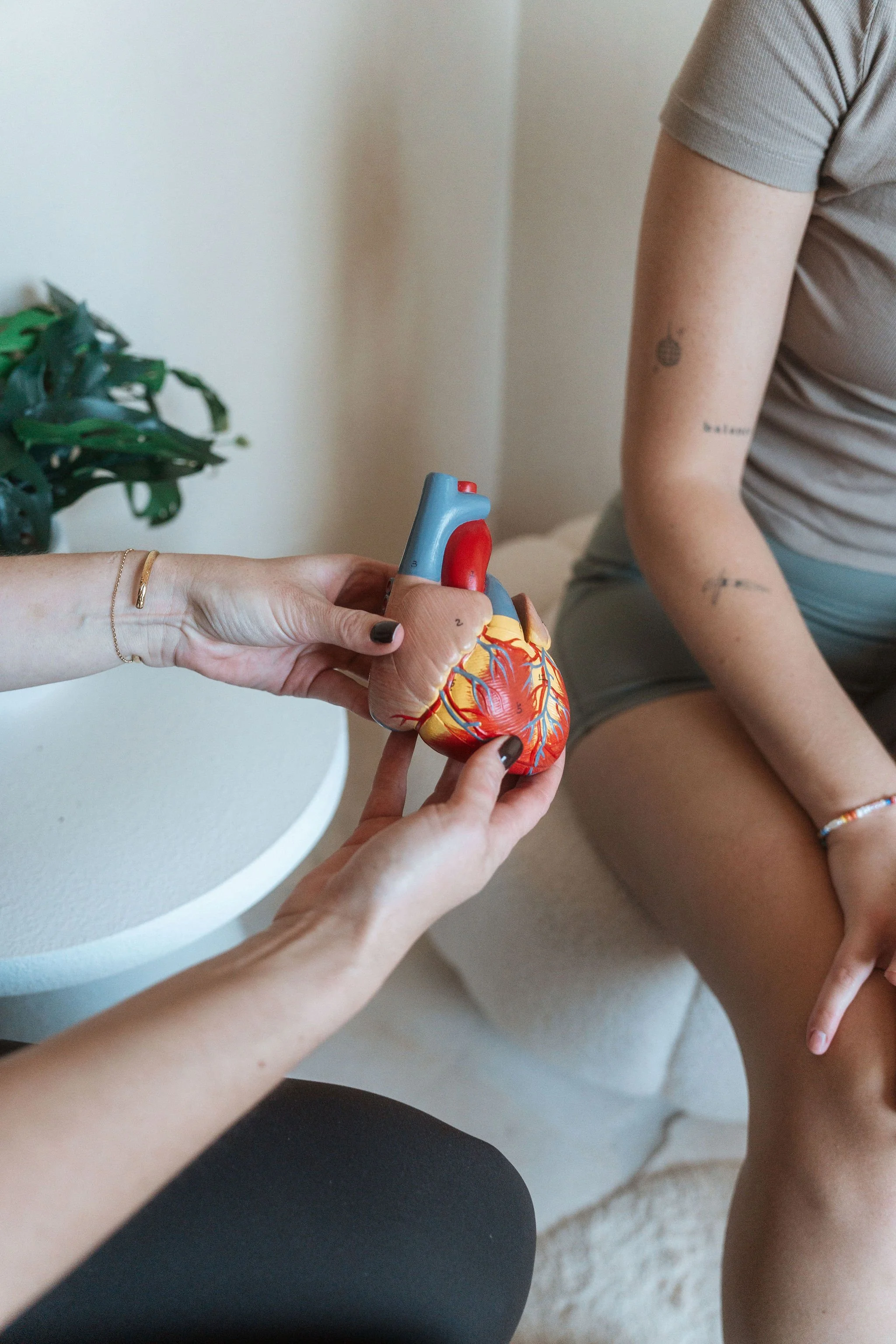 Exercise physiologist using an anatomical heart model to explain stent procedures and recovery at CardioCare Clinic, Bondi Junction