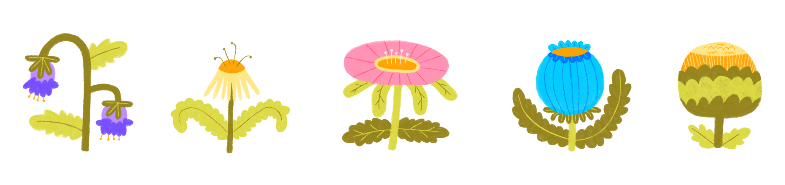 Ilustración_sin_título (1).png