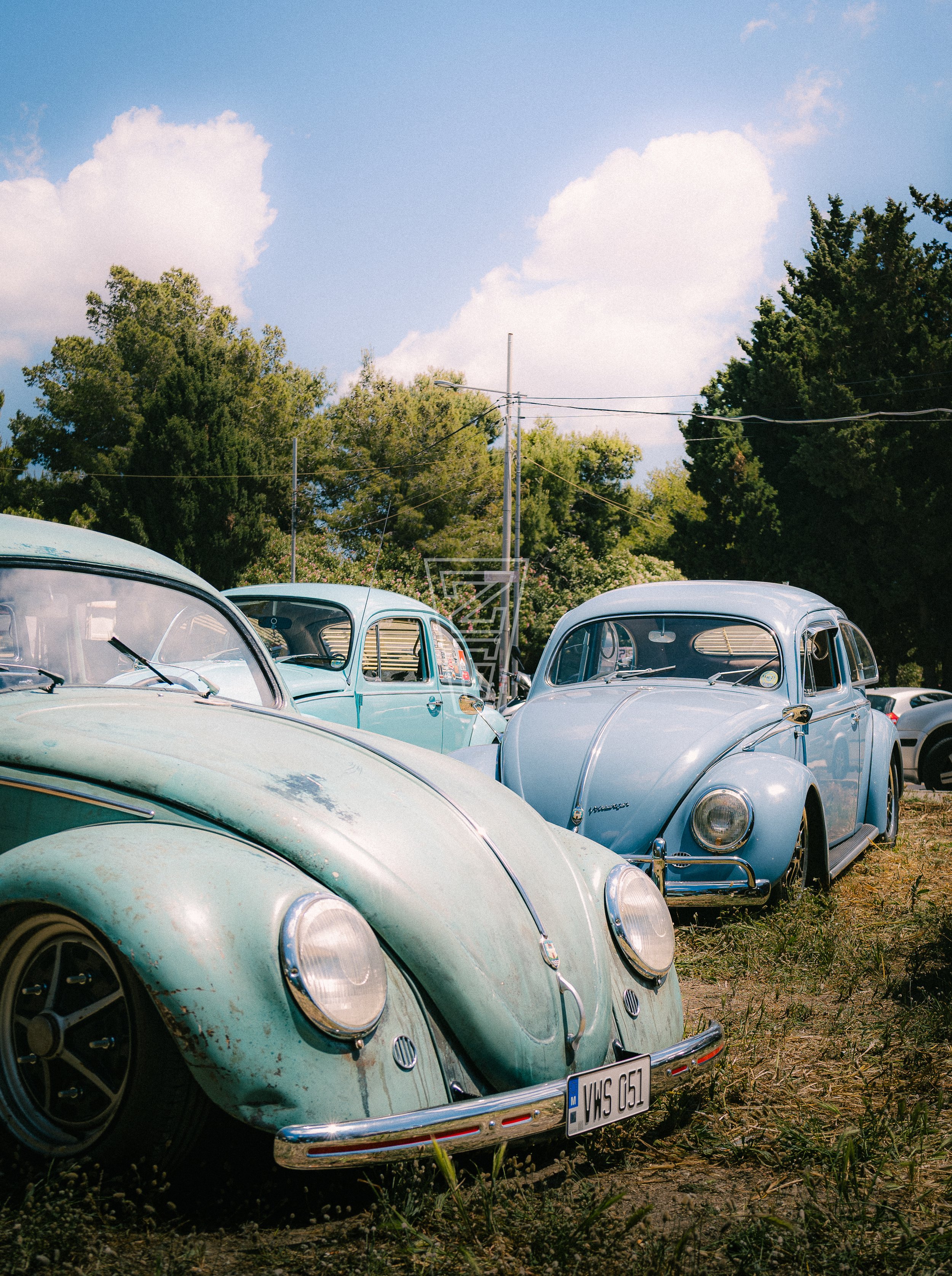Row of vintage light blue Volkswagen Beetle cars parked on grass with trees and a blue sky with clouds in the background.