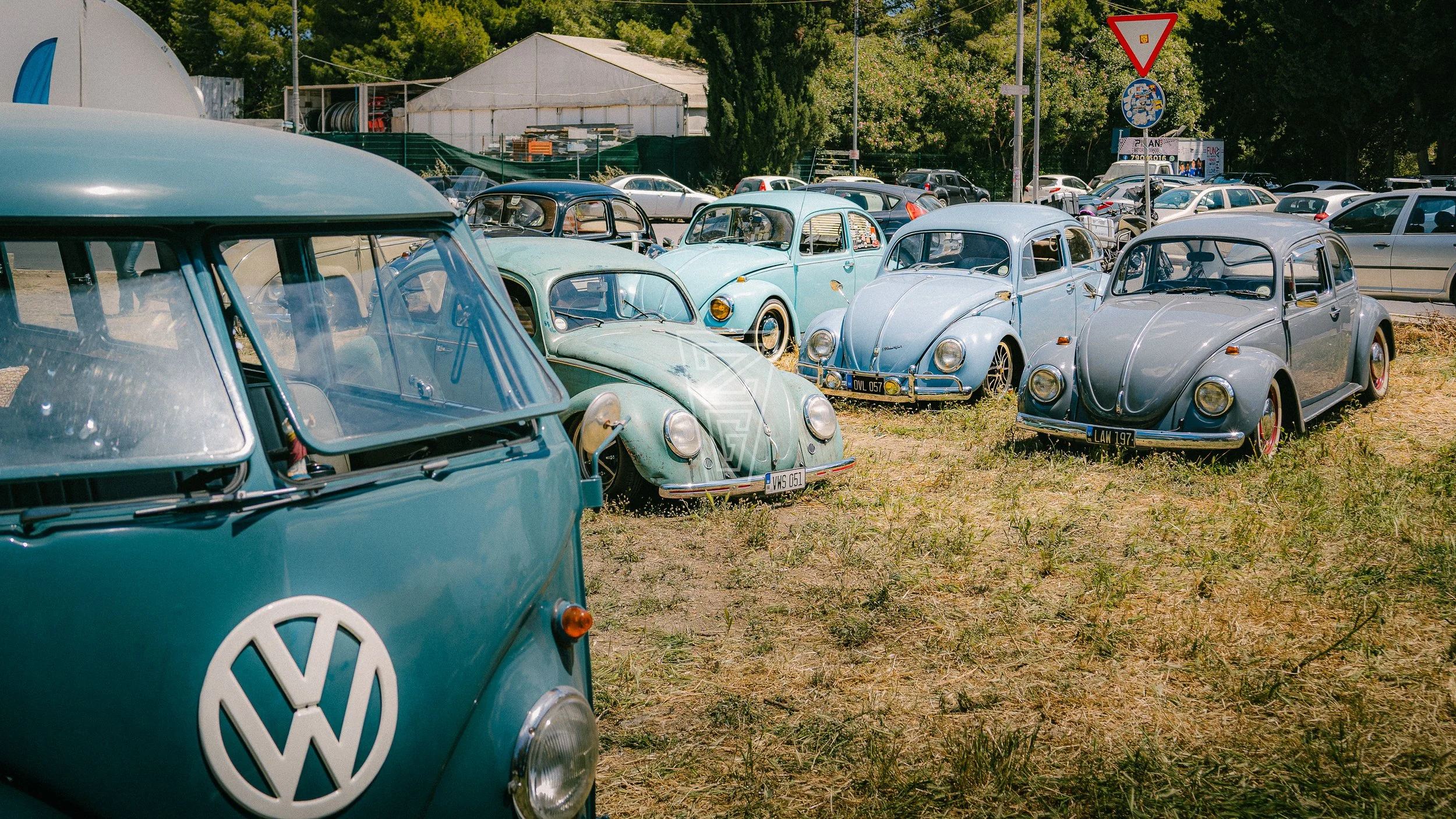 A collection of vintage Volkswagen Beetle cars parked on a grassy field with other cars and trees in the background.