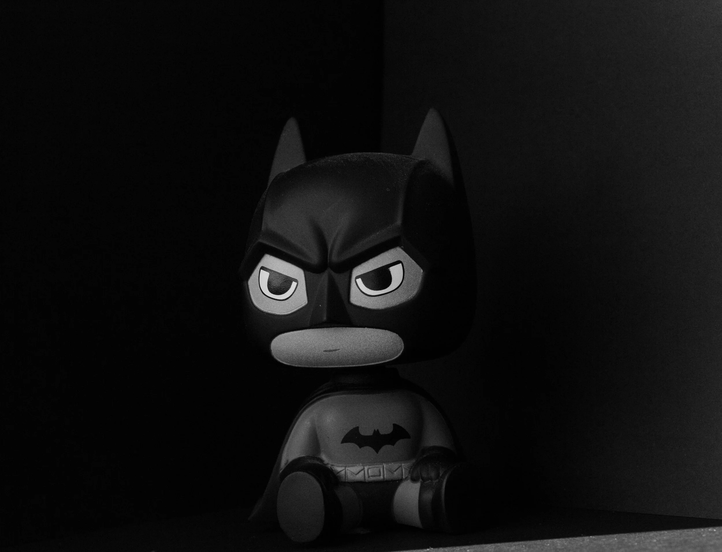 Batman front portrait.jpg