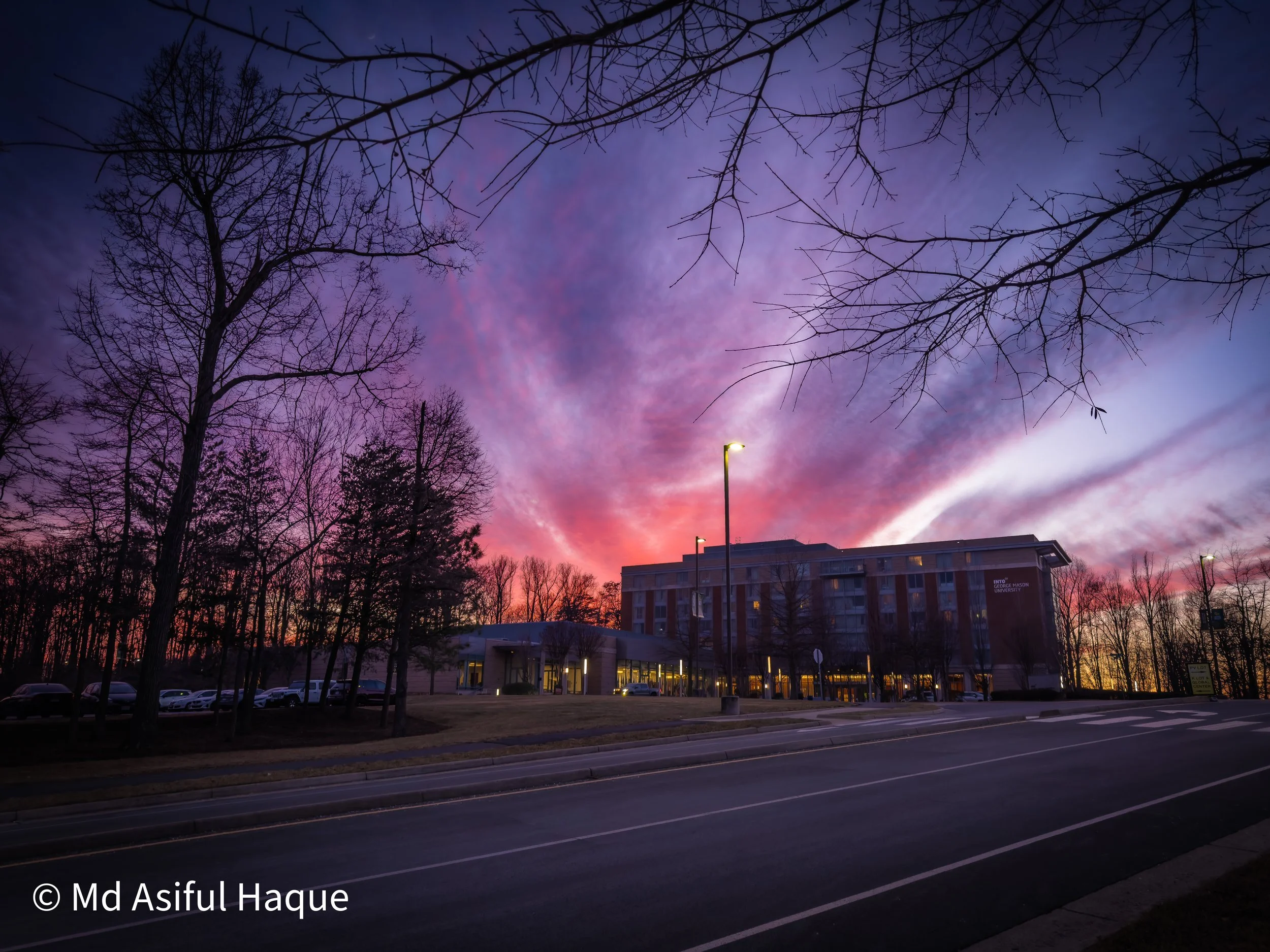 A cityscape during twilight with a colorful sky blending shades of purple, pink, and blue. Leafless trees with intricate branches line the foreground. A building with illuminated windows stands in the background, and streetlights are turned on along a road with parked cars.