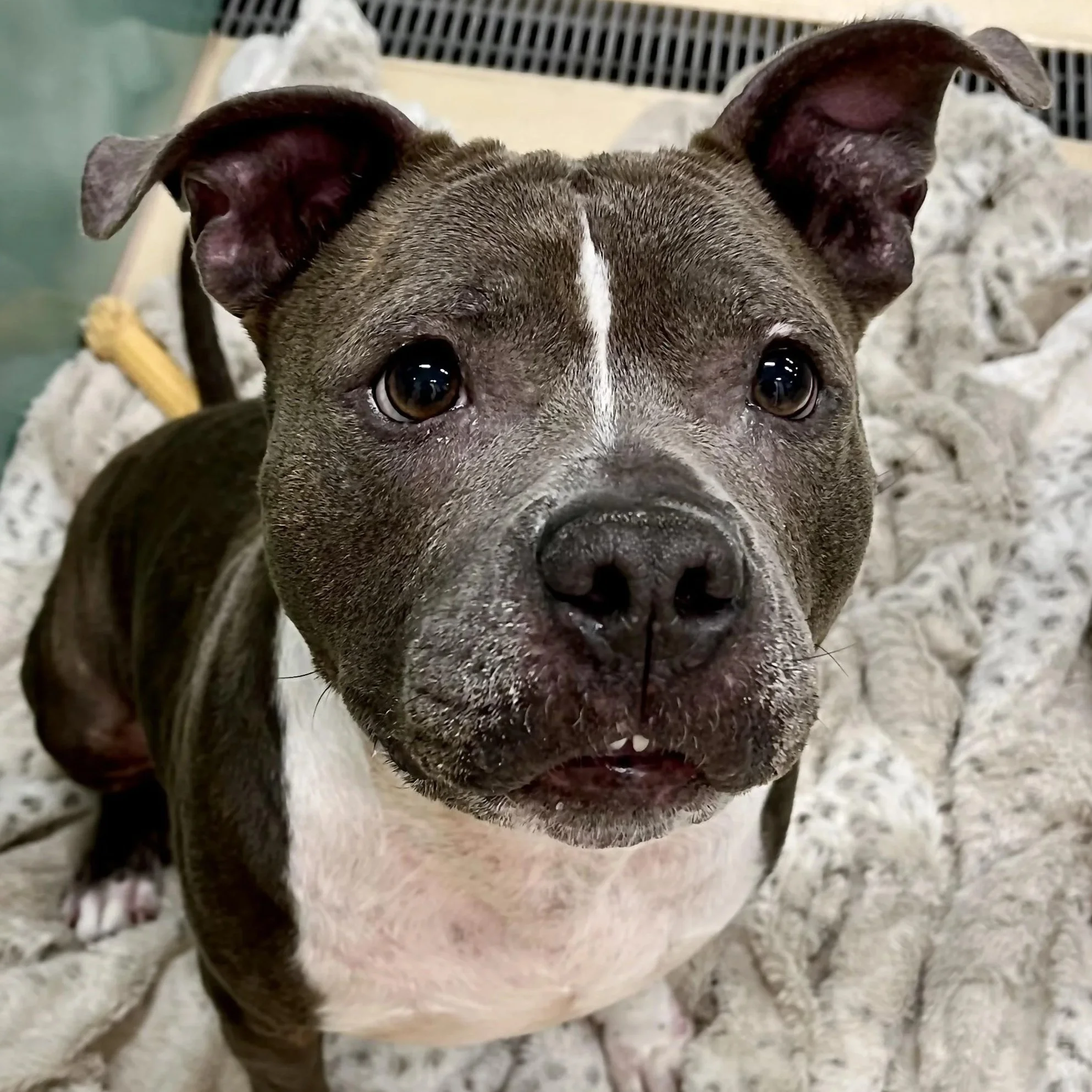 Mrs. Merritt 5 years old