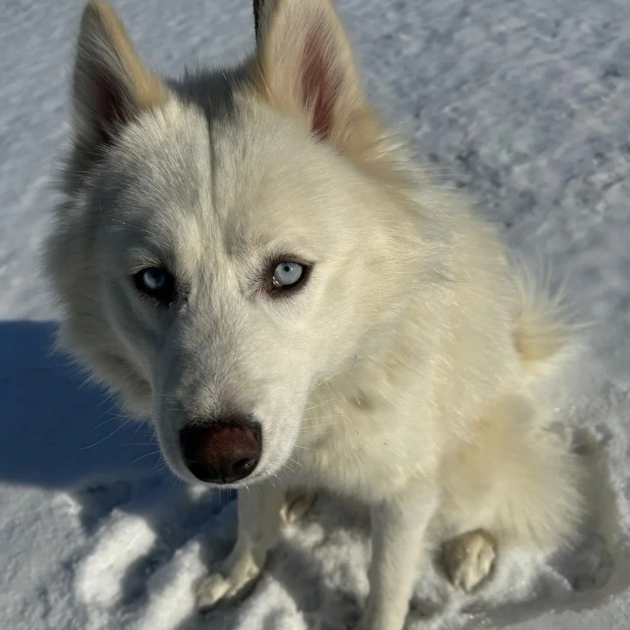 Finnick 1 to 3 years old